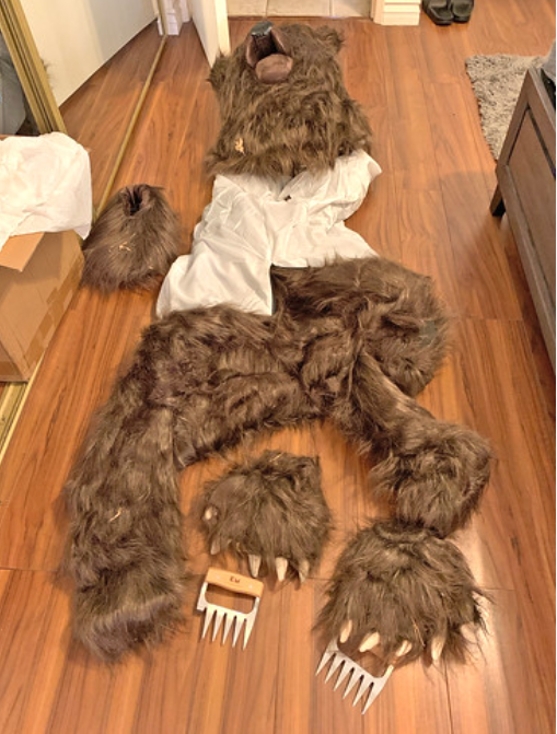 Using a bear costume to sabotage their own car for insurance money? Genius or madness?