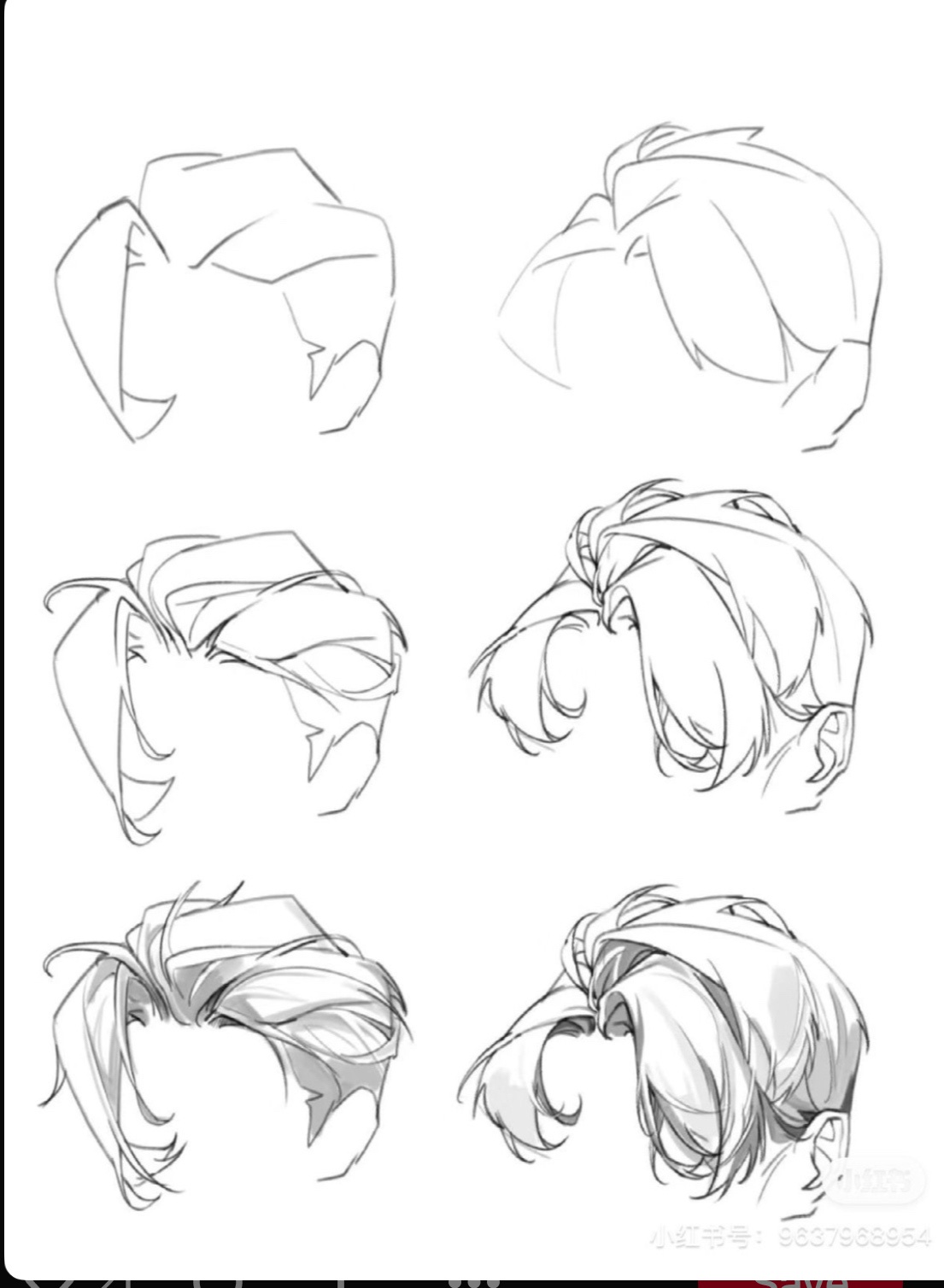 A Stunning Showcase of Hair Styles