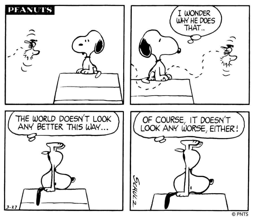 Sometimes All It Takes is a Fresh Perspective