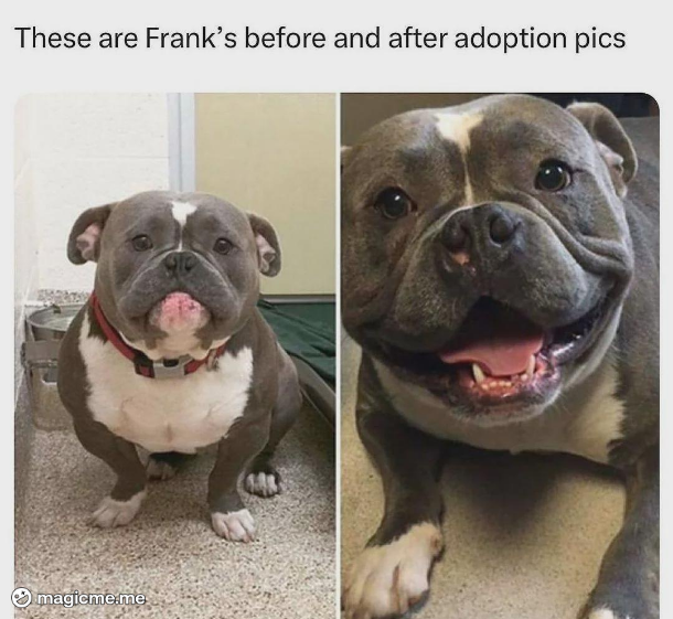 Keep Smiling, Frank! A Reminder of Positivity