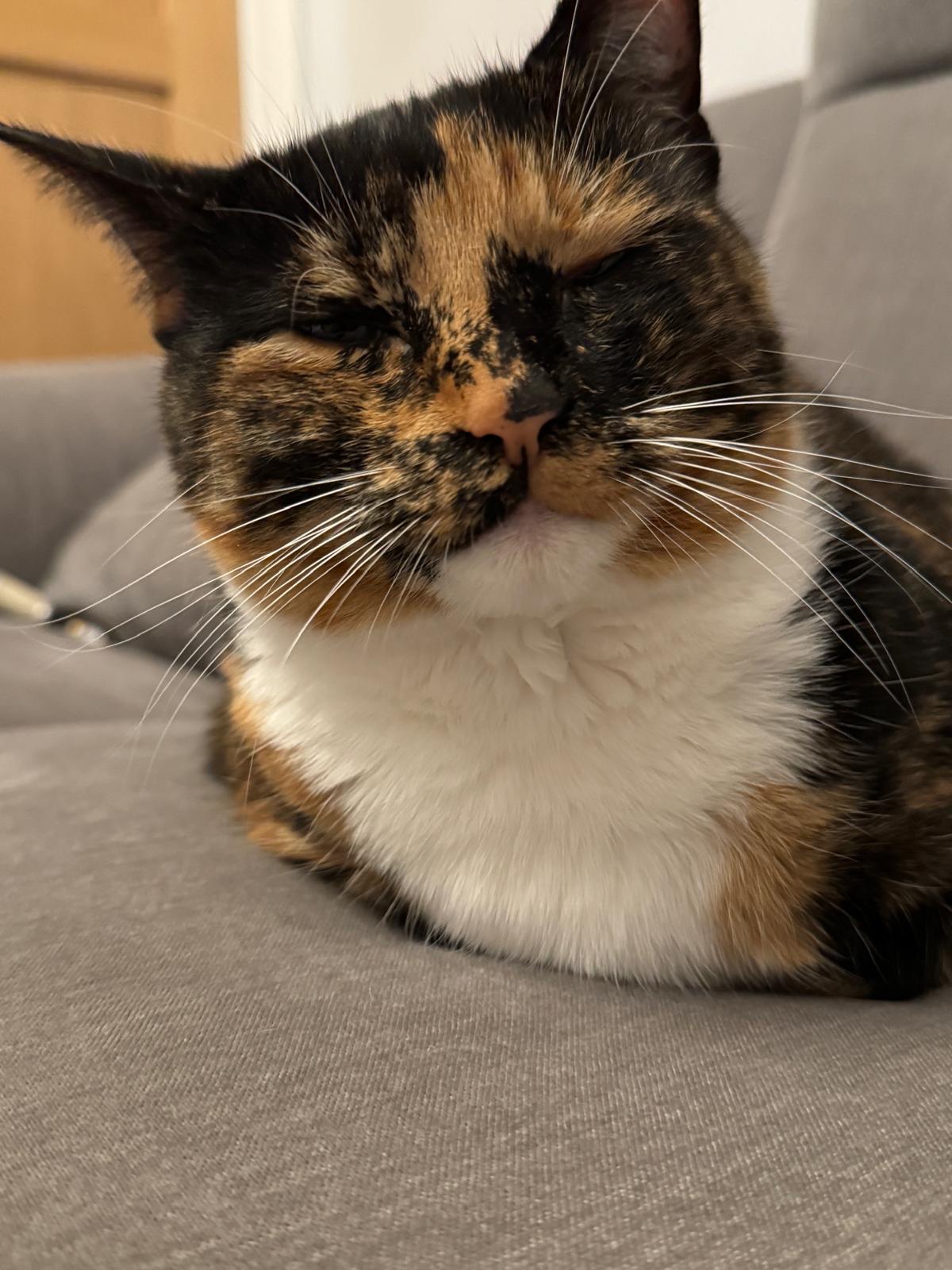 Crumble's Daily Snapshot of Adorableness