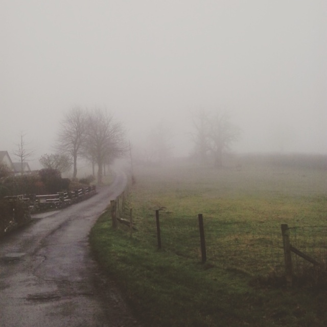 Caught in a whirlwind of despair, longing for a time that feels less dark and heavy; my insides feel scorched.