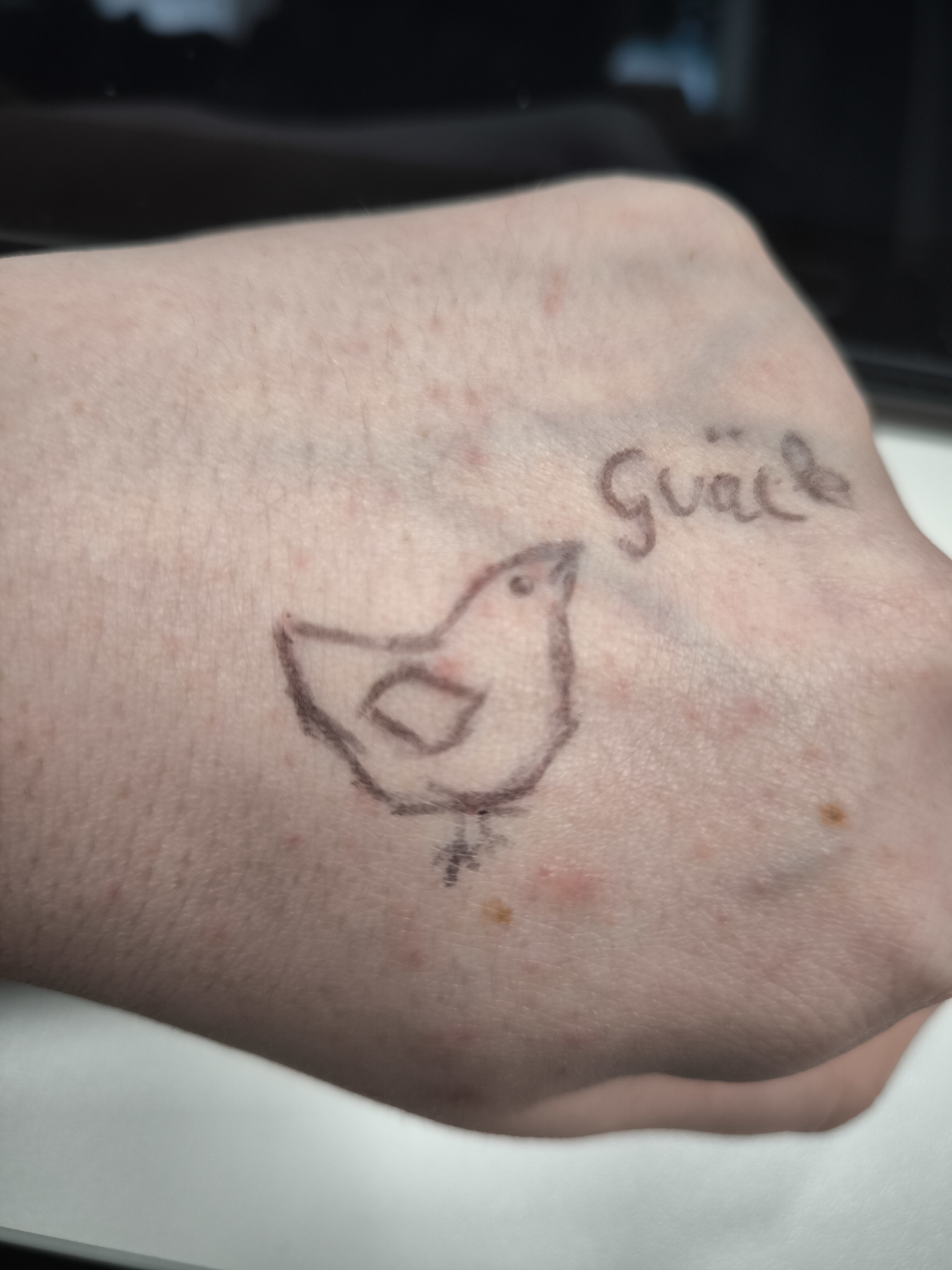 From Doodle to Reality: My First Tattoo Experience