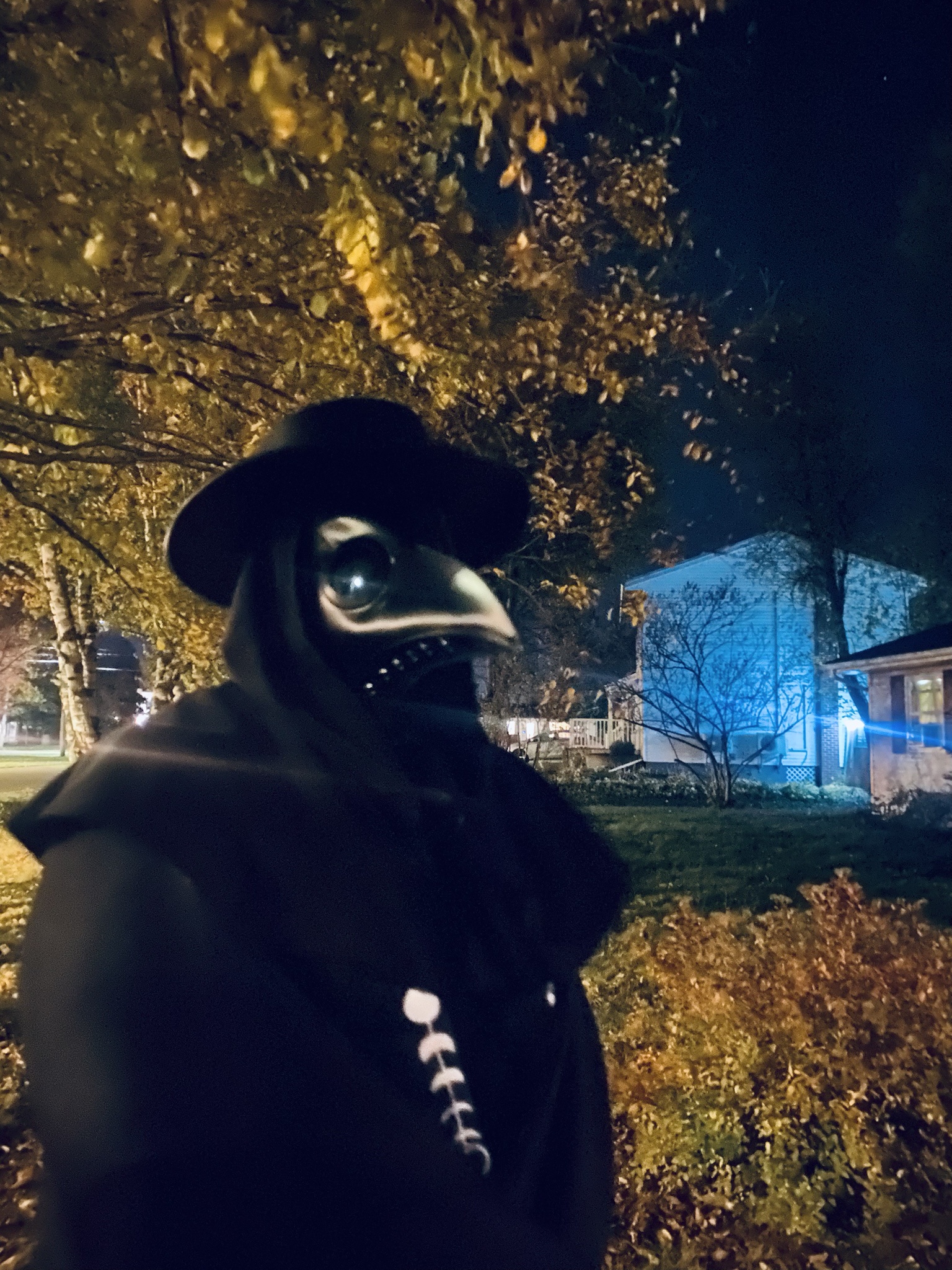 How to dodge the plague like a pro