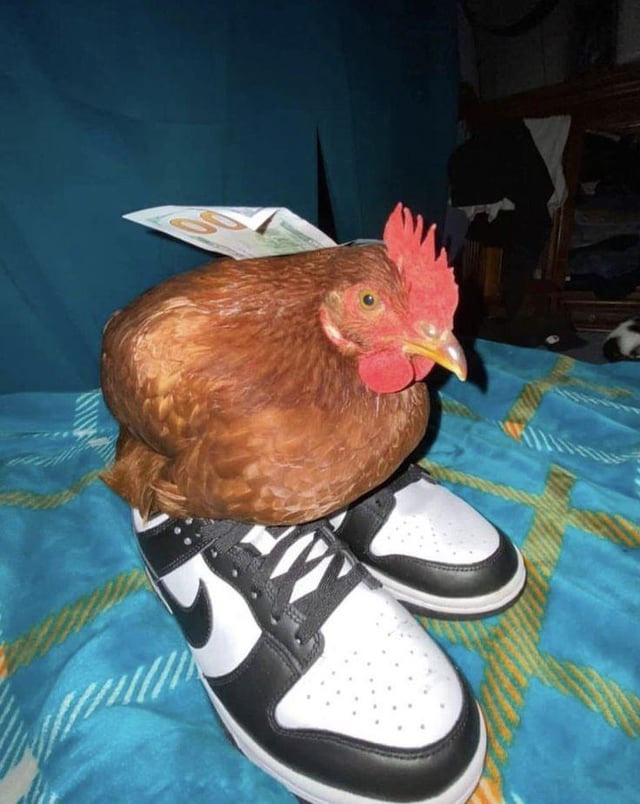 The Trendy Drip Chicken Craze