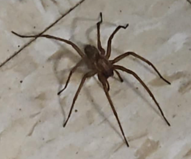 Can someone help me identify this person?