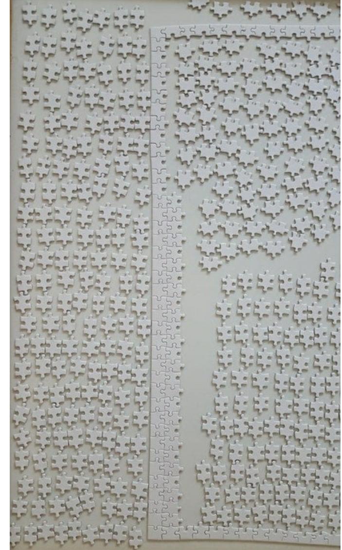 A challenging winter puzzle to solve