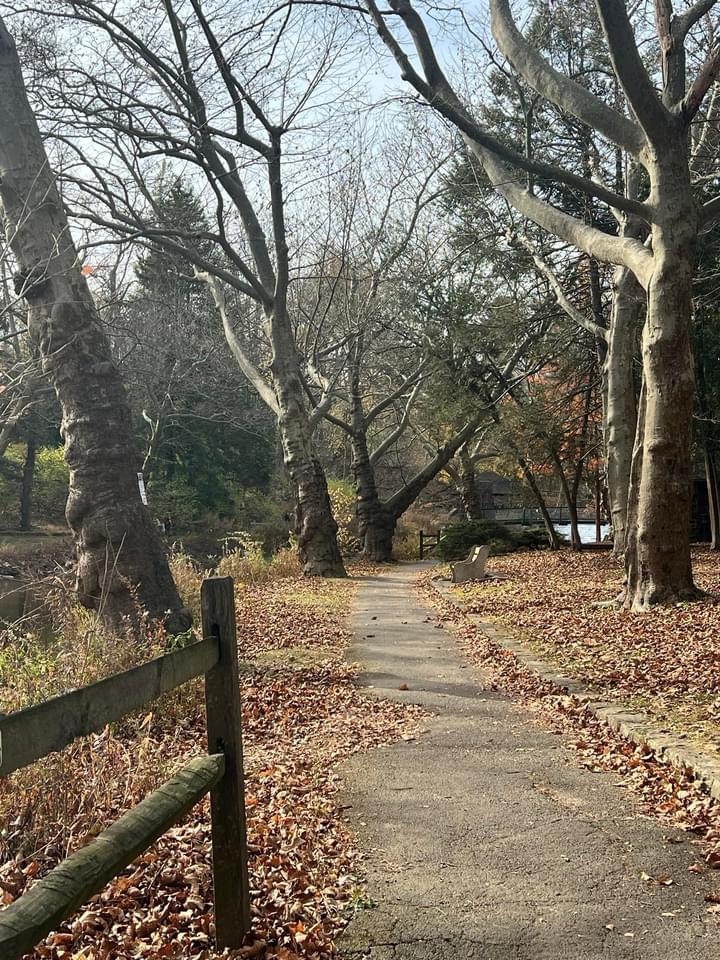 The Journey Ahead: A Path to Adventure