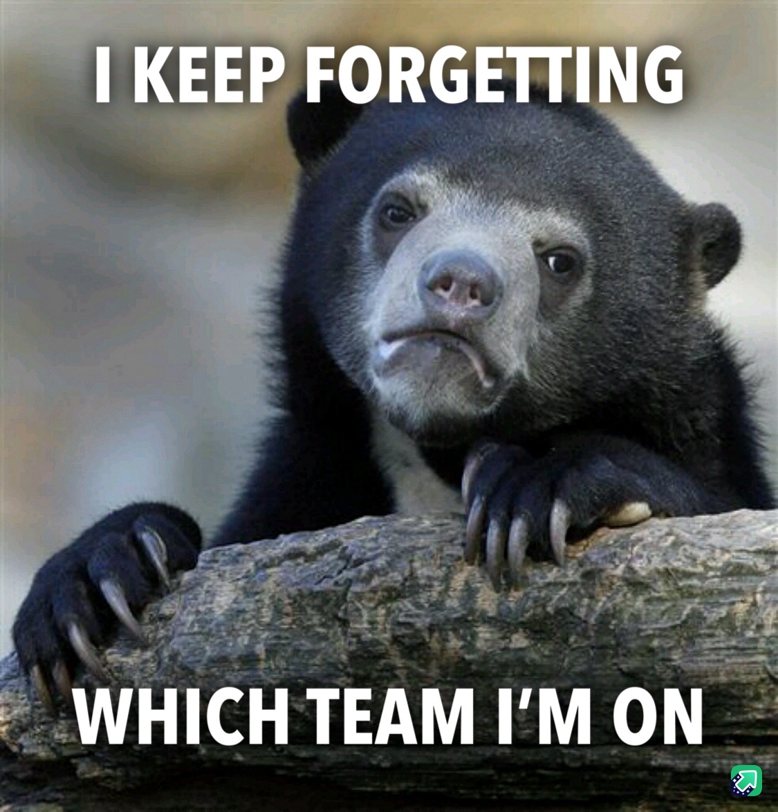 Is This a Meme Team?