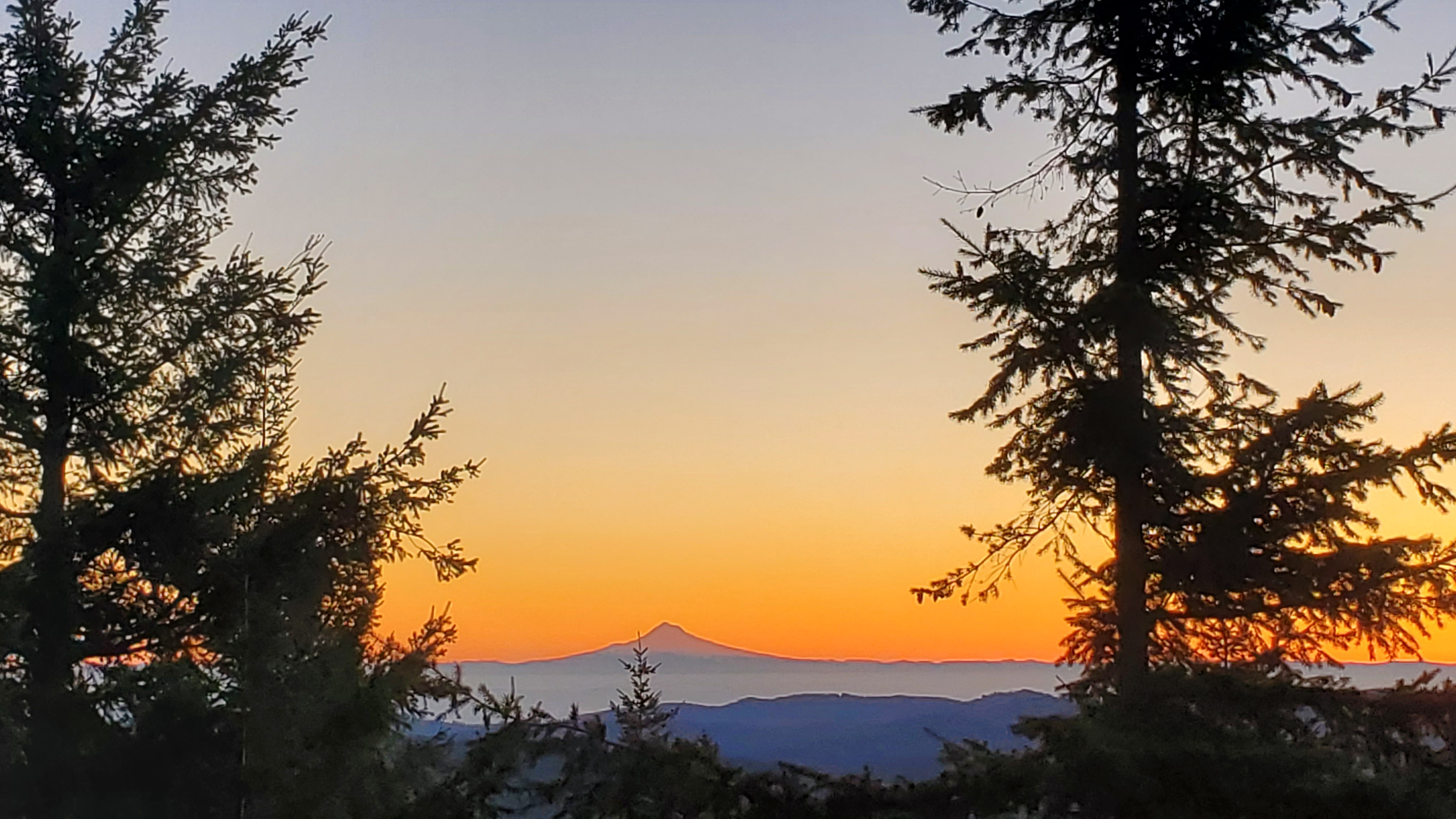 A Stunning View of Mt. Hood from Kings Mountain on January 29, 2025