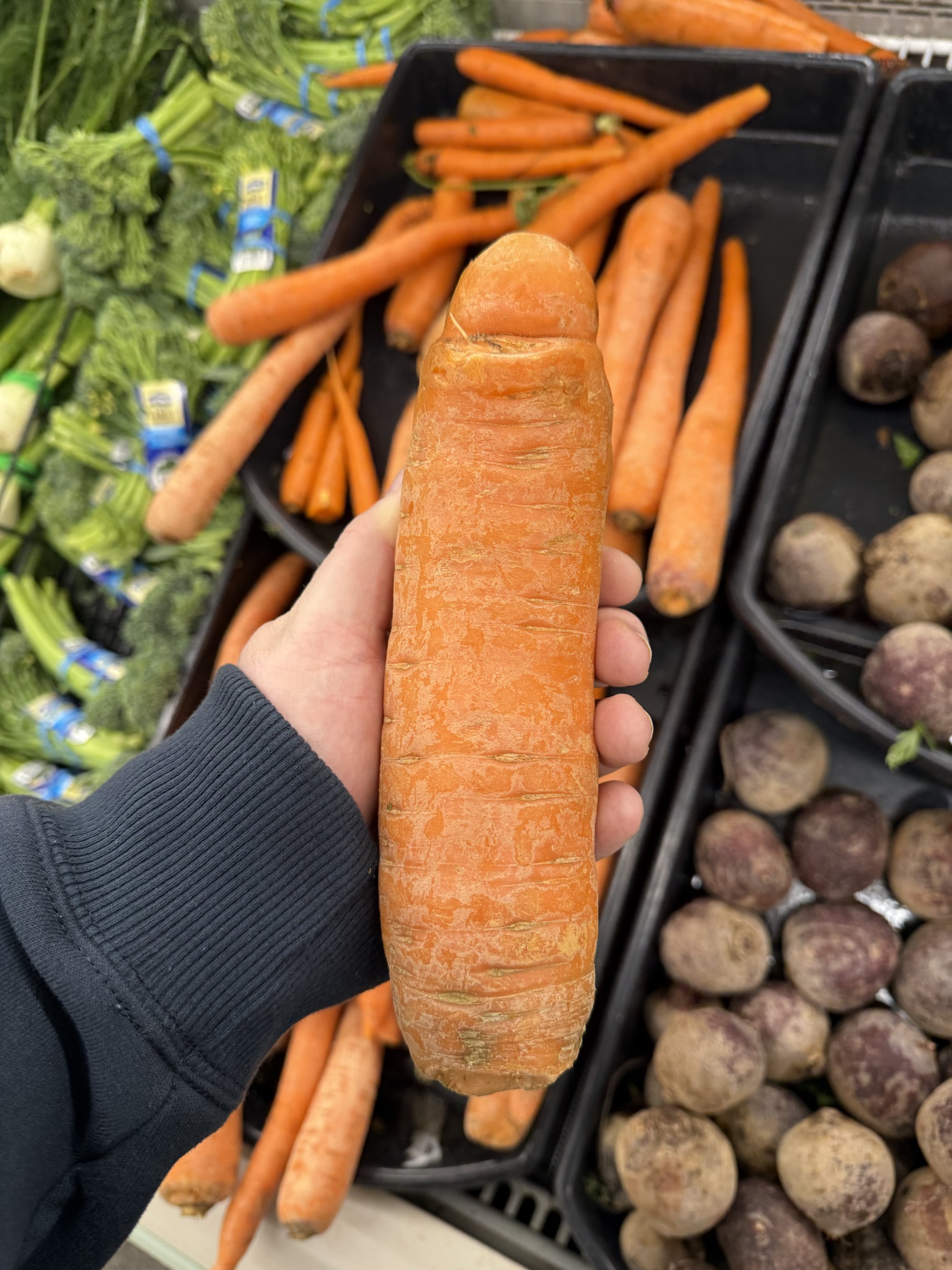 Meet King Dong Carrot: The Royal Veggie