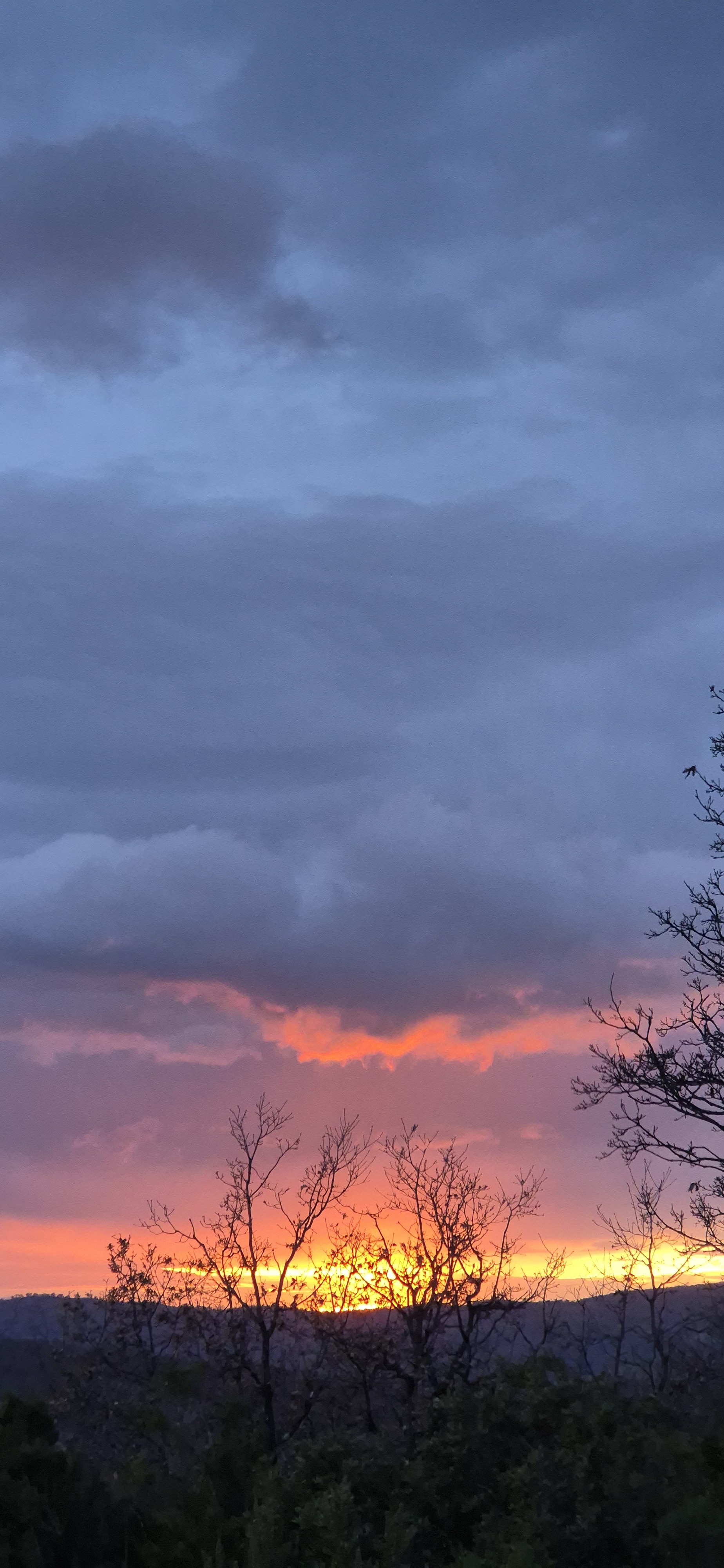 Breathtaking Sunset Over the Farm