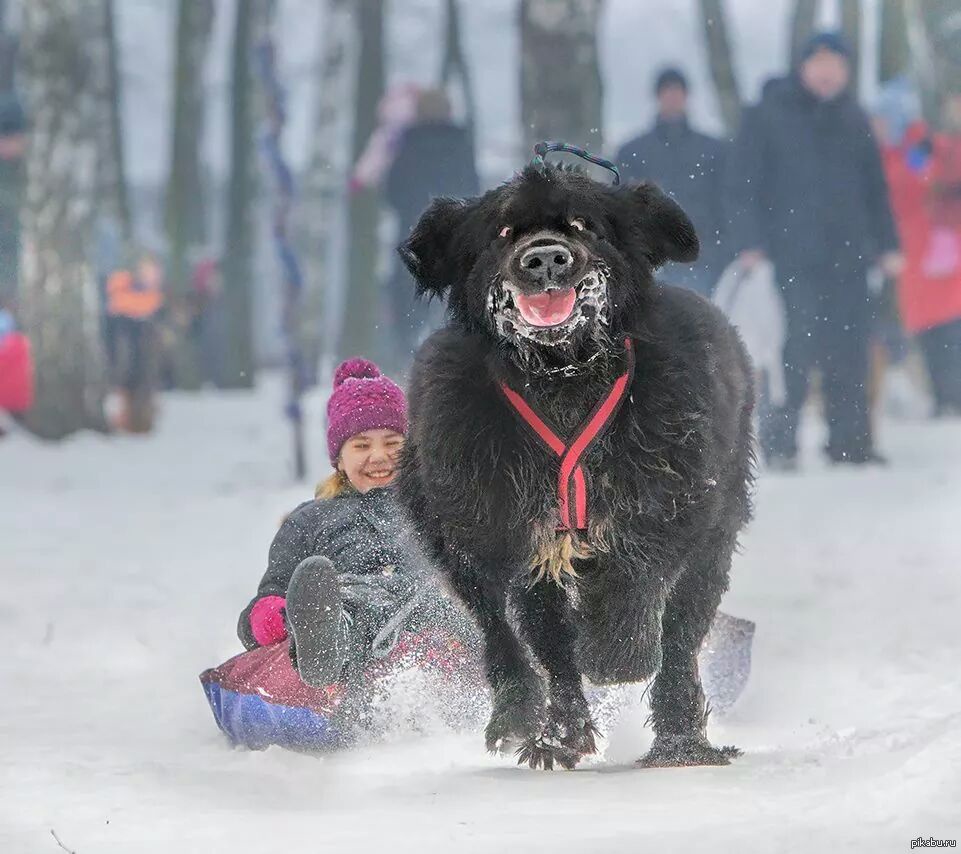 These two are clearly having the time of their lives!