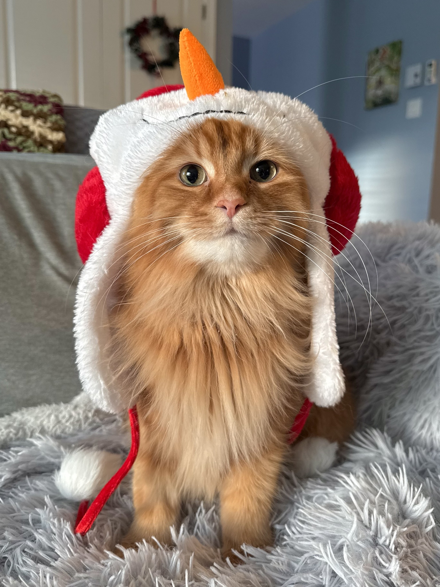 Meet Frosty, the Adorable Snow-Fluff!