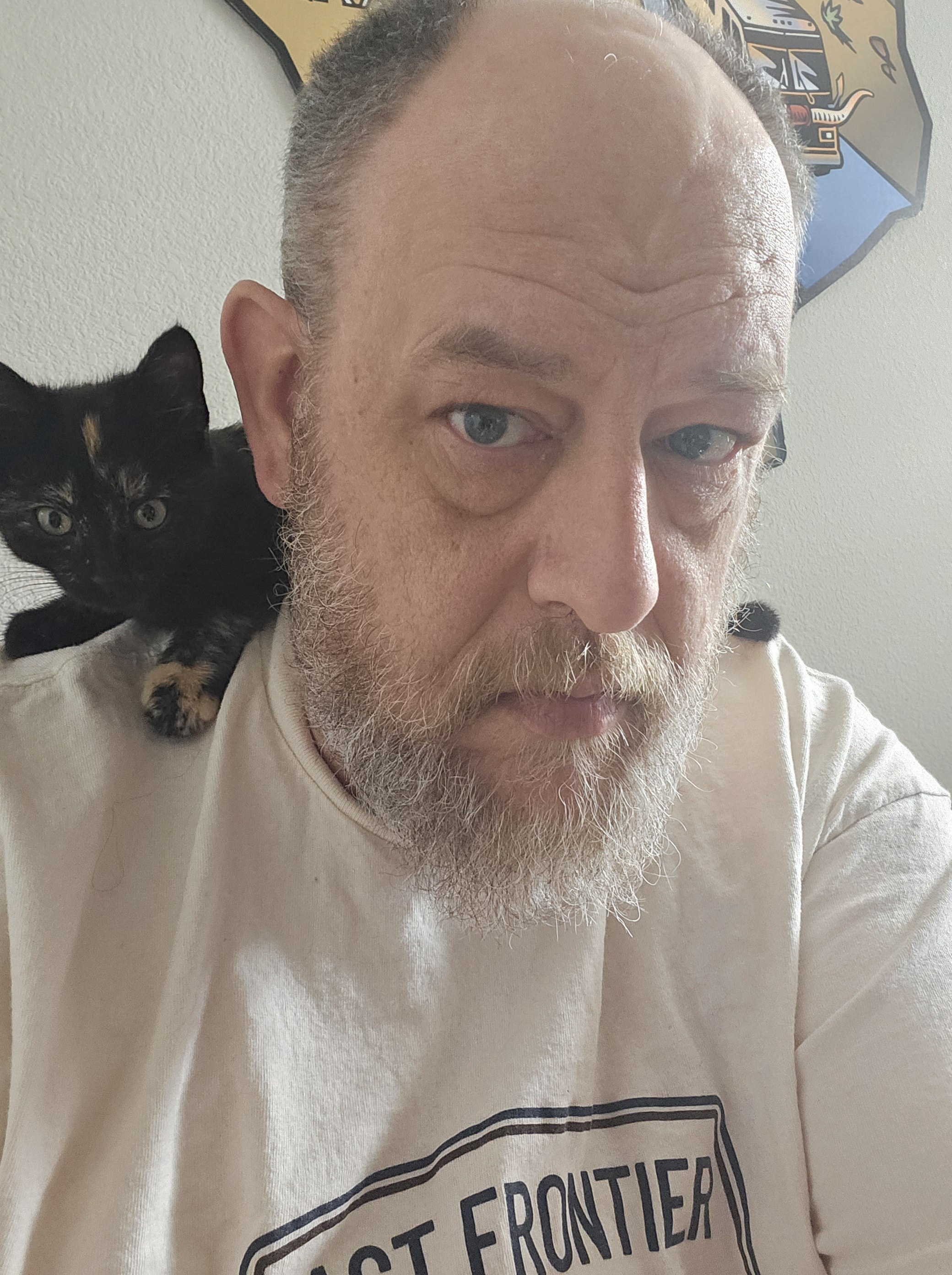 Merry Christmas from SomeGuy and his adorable new kitty, Chani!