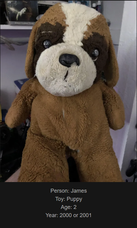 Day 862: Join Me on My Journey at www.saidtheskinhorse.com - Celebrating Childhood Toy Memories with Puppy, Our Newest Friend!