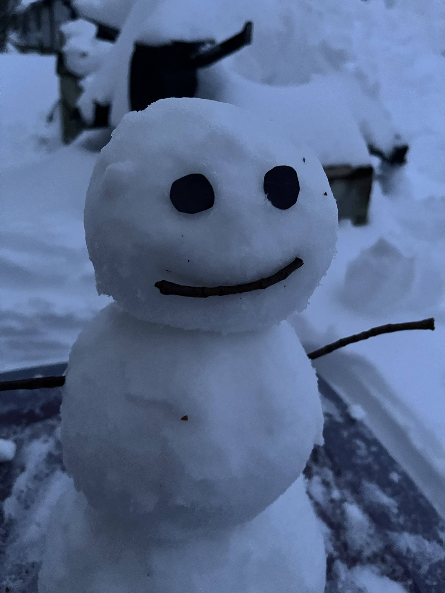 The Adorable Cake Day Snowman
