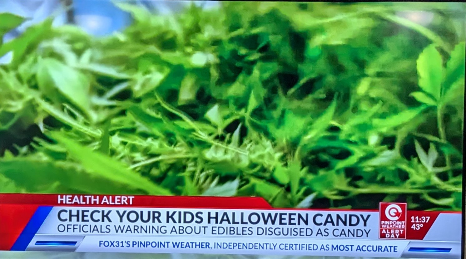 First razor blades, now edibles... what’s next?
