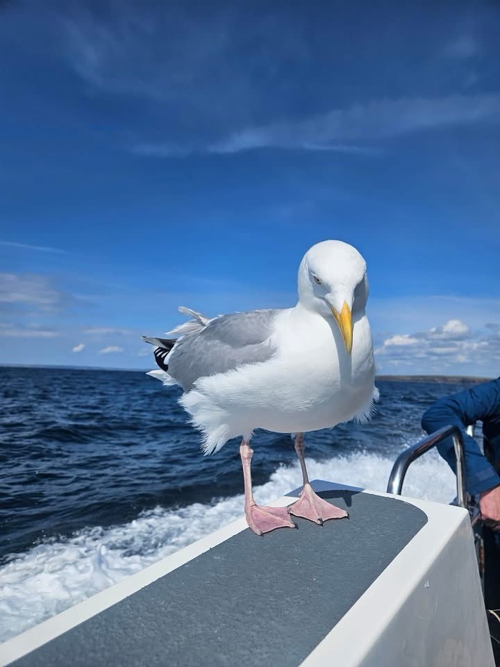 Enjoying a serene boat ride