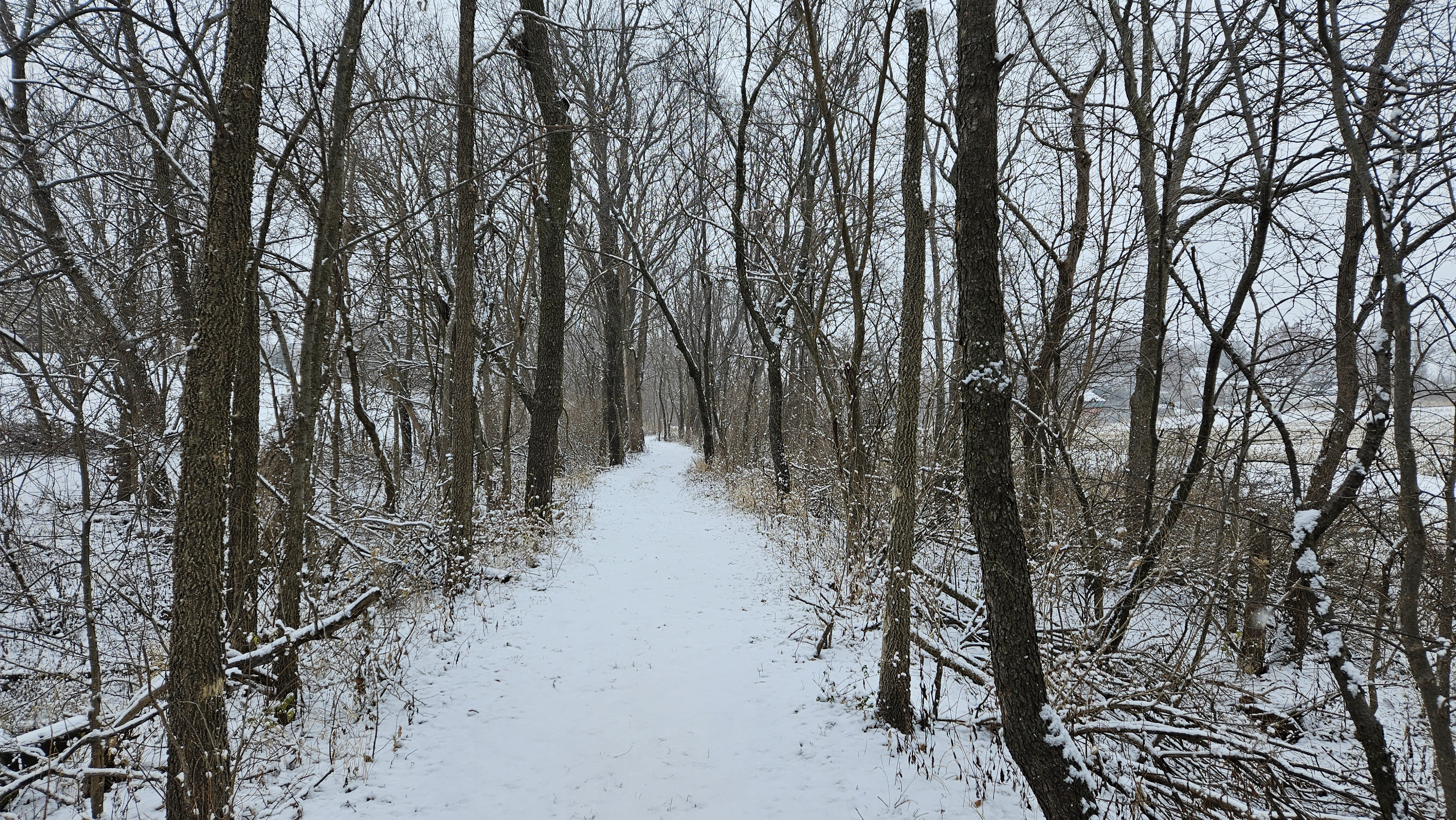 Exploring the Smokey Row Trail