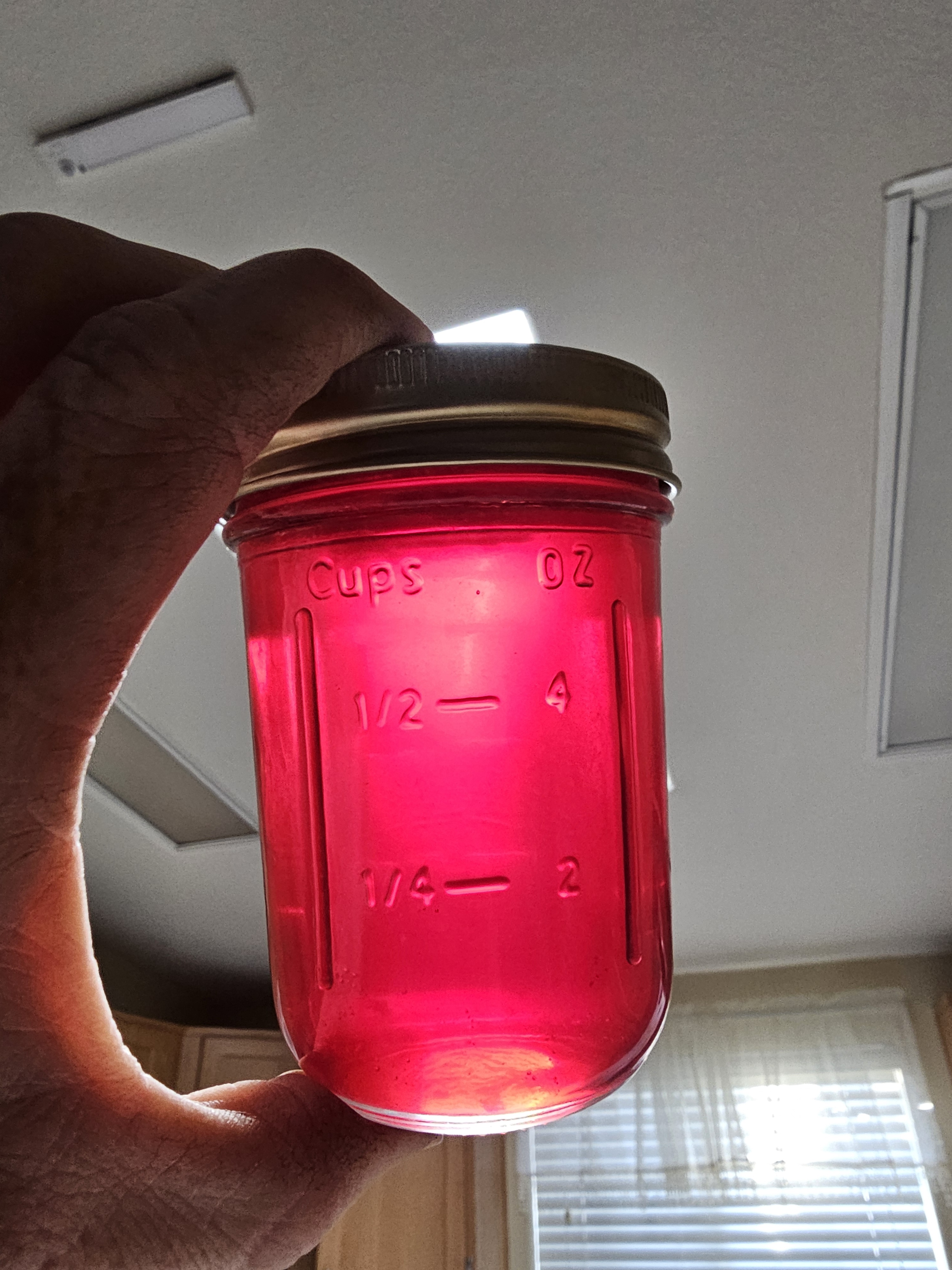 Check out my first batch of homemade pomegranate jelly—it's absolutely delicious!