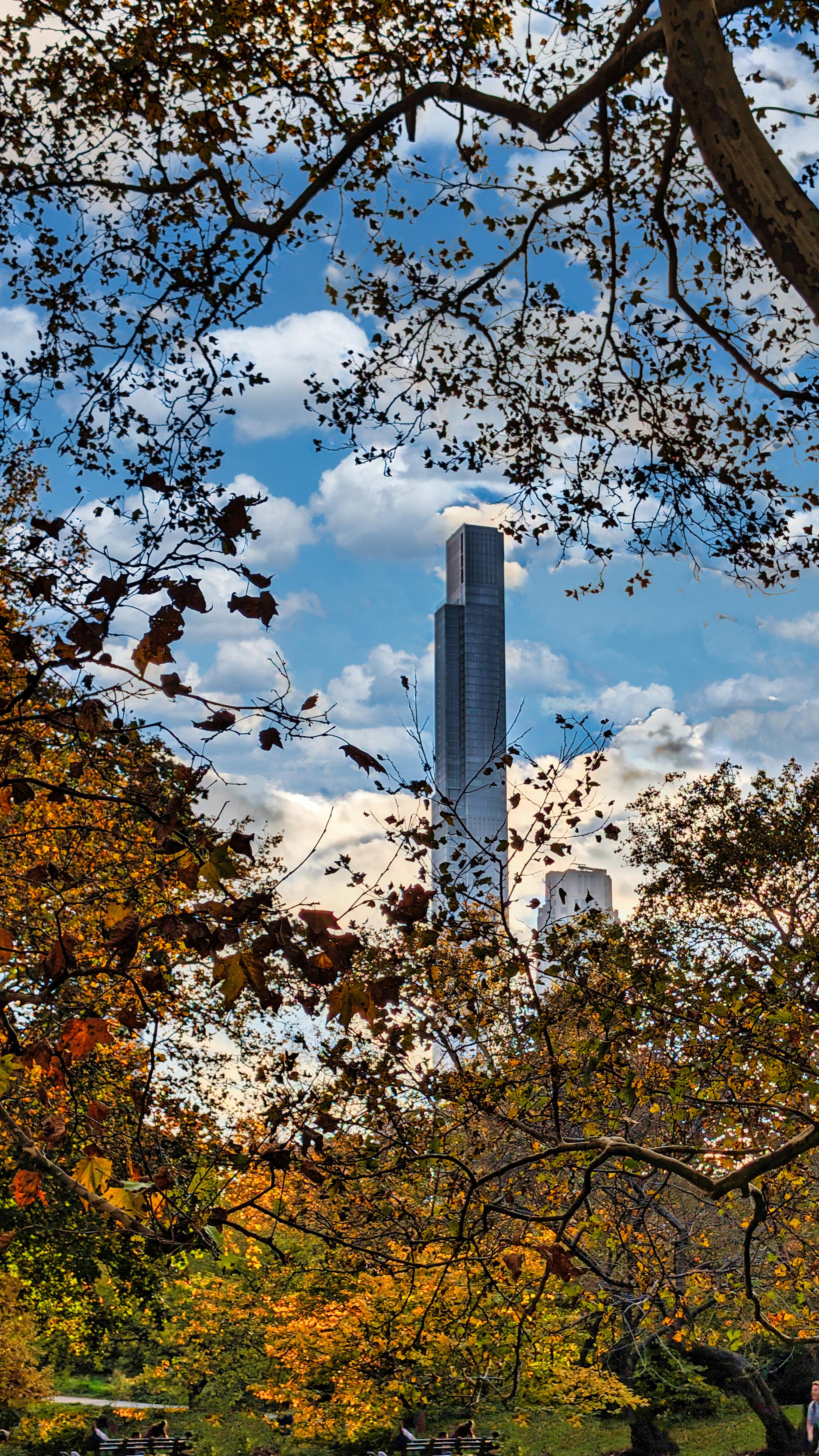 Exploring the Beauty of Central Park in NYC