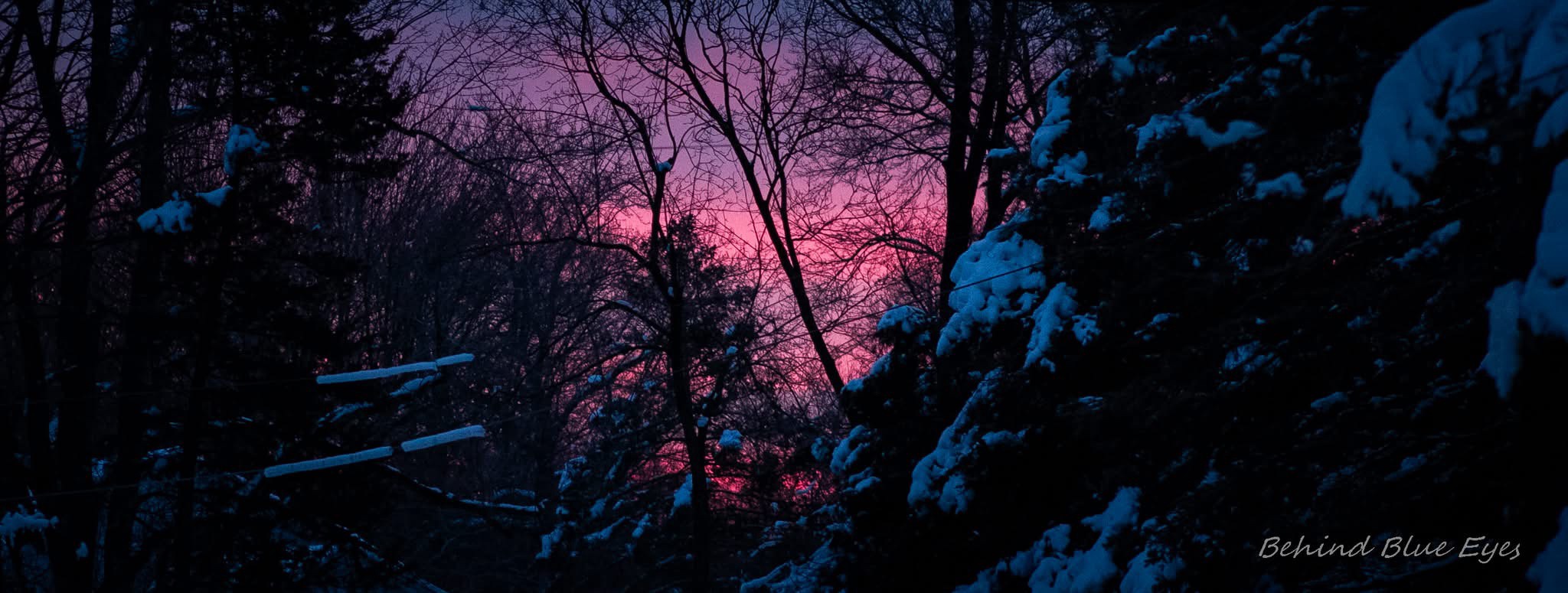 The Beauty of a New Dawn