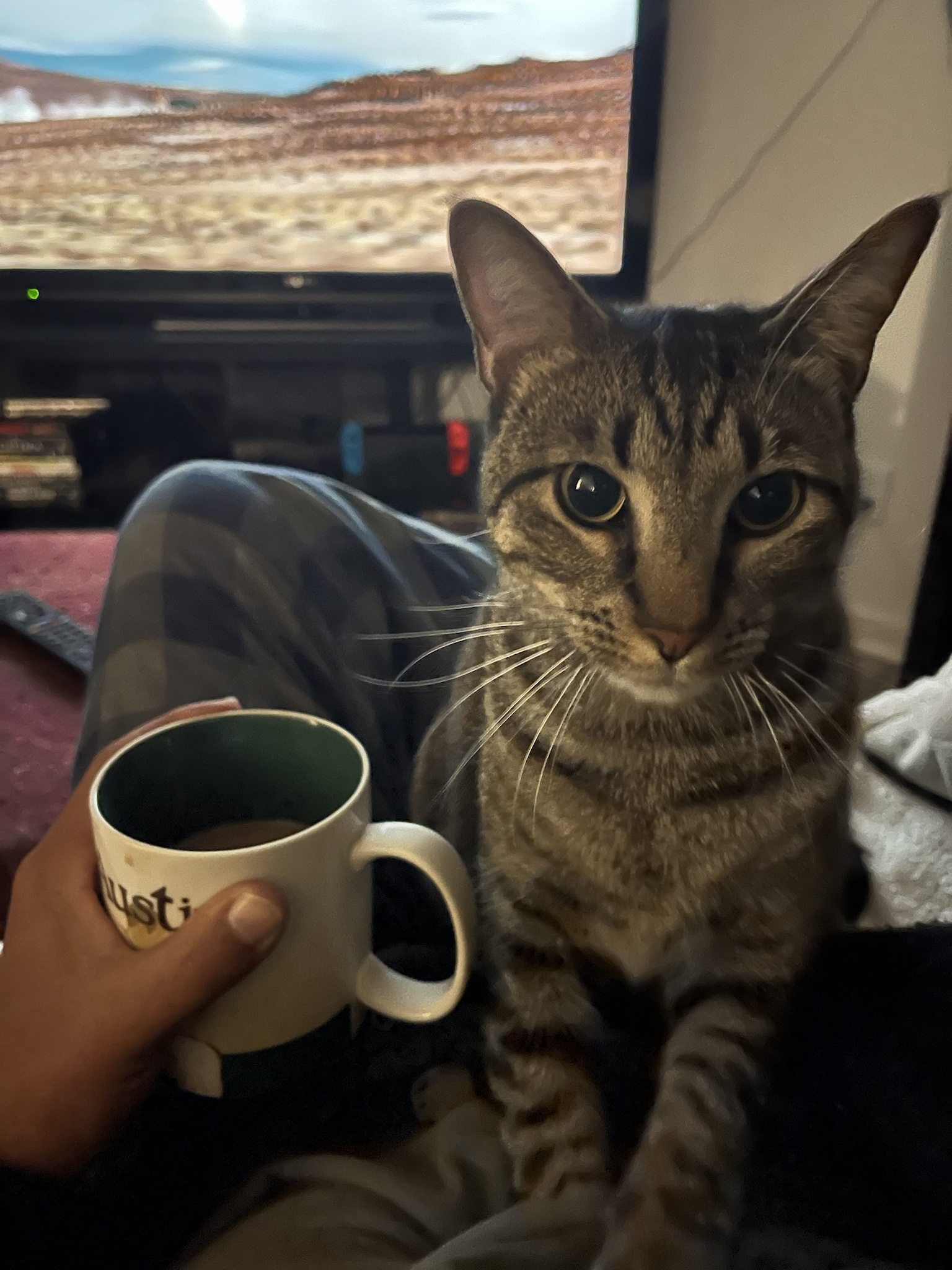 The Perfect Pair: Coffee and Biscuits for a Cozy Moment