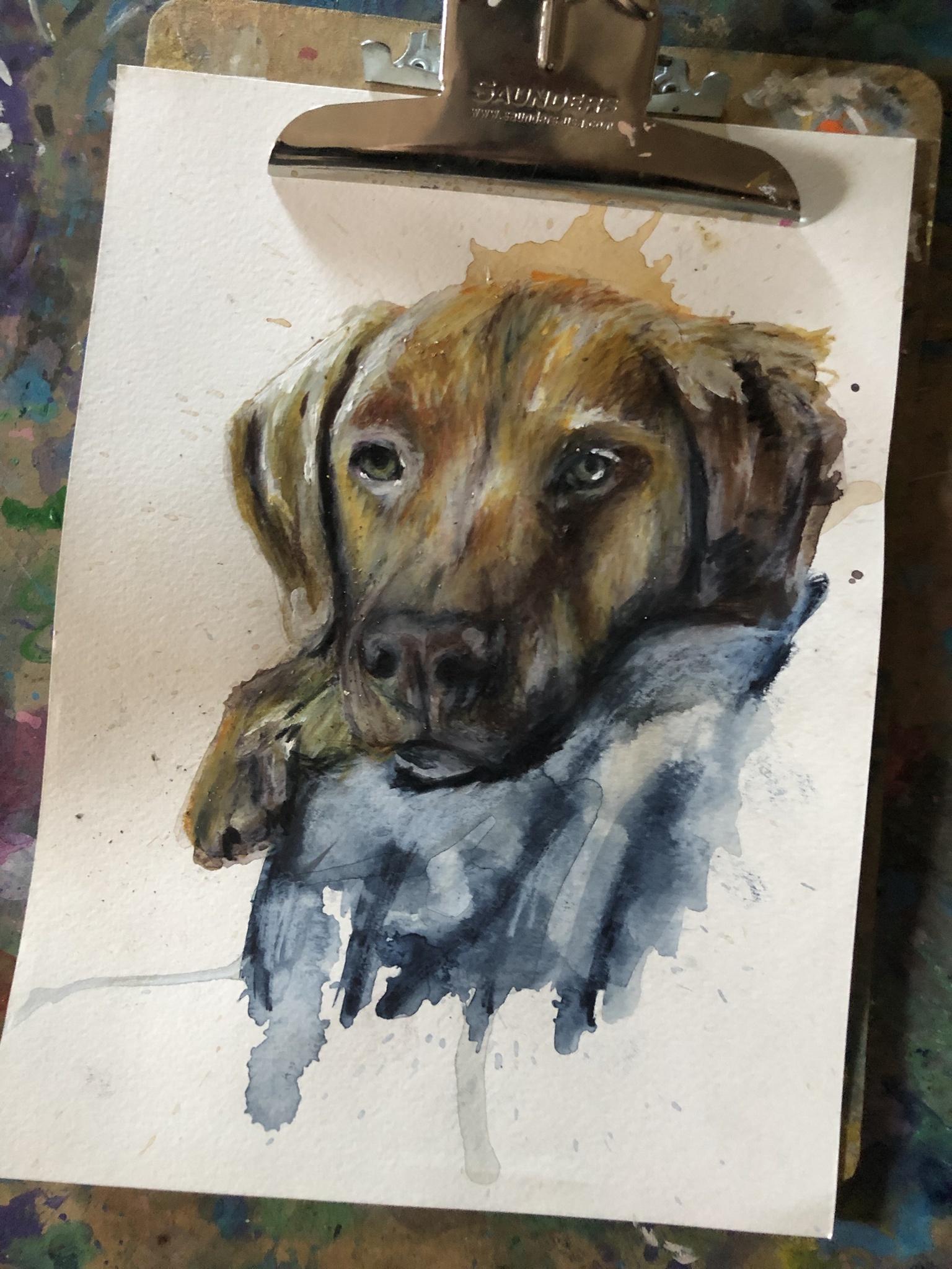 My Artistic Journey: Pet Portraits Unveiled