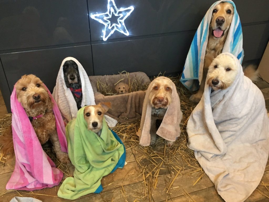 A Peaceful Silent Night