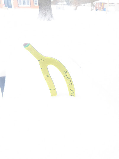 Banana Fiasco: A Hilarious Twist