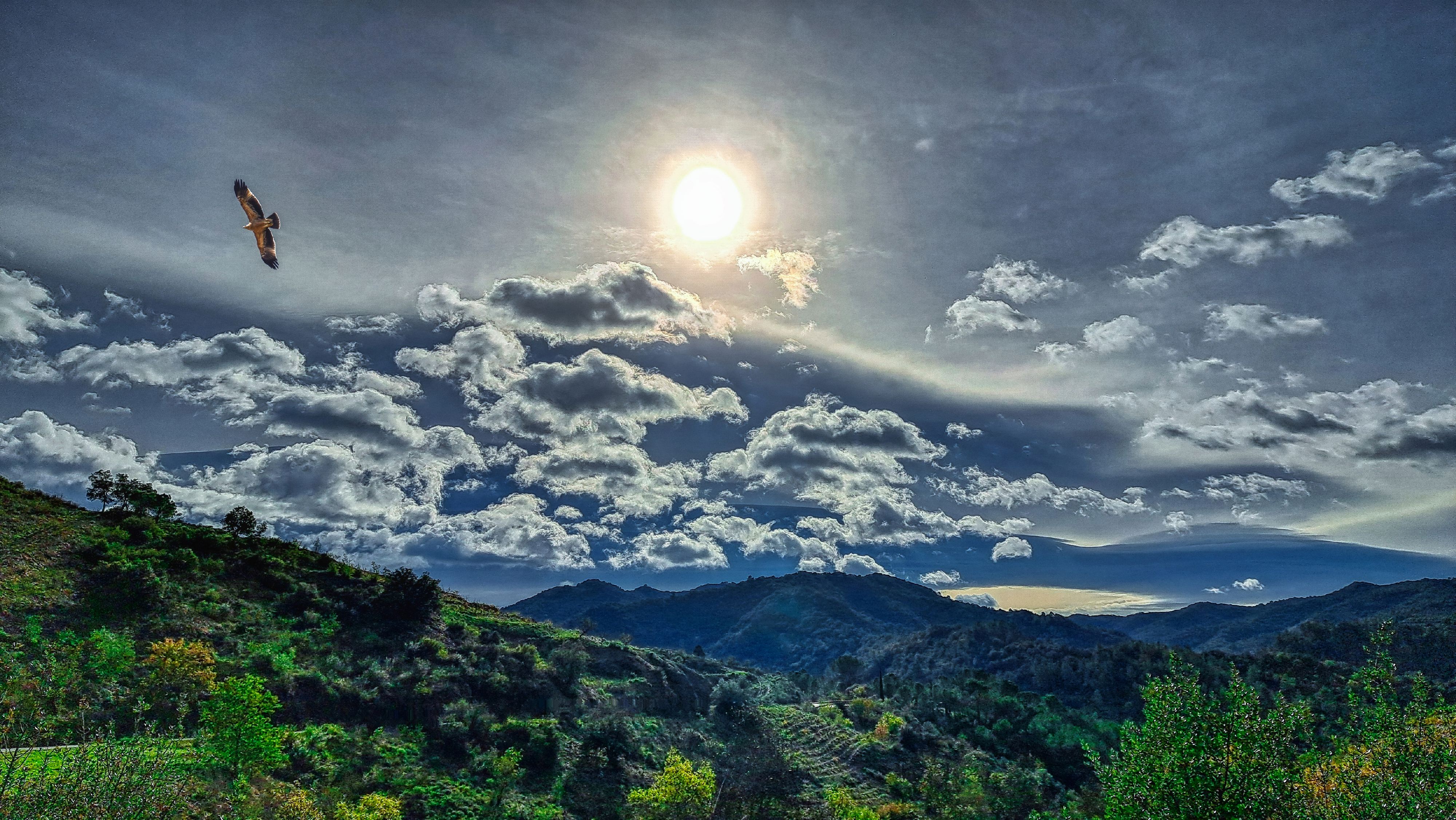 Exploring Poboleda: A Journey Through Forests and Vineyards in Priorat