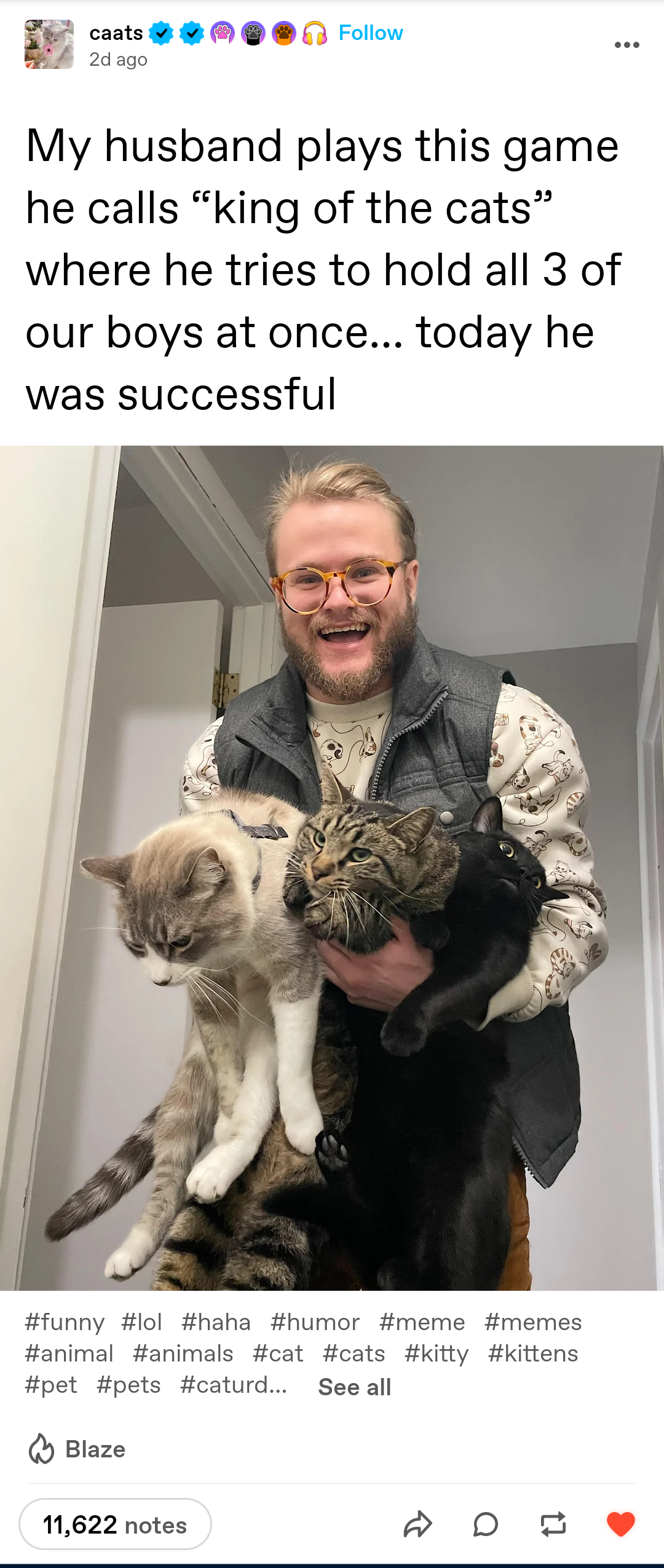 The Unrivaled King of All Cats!