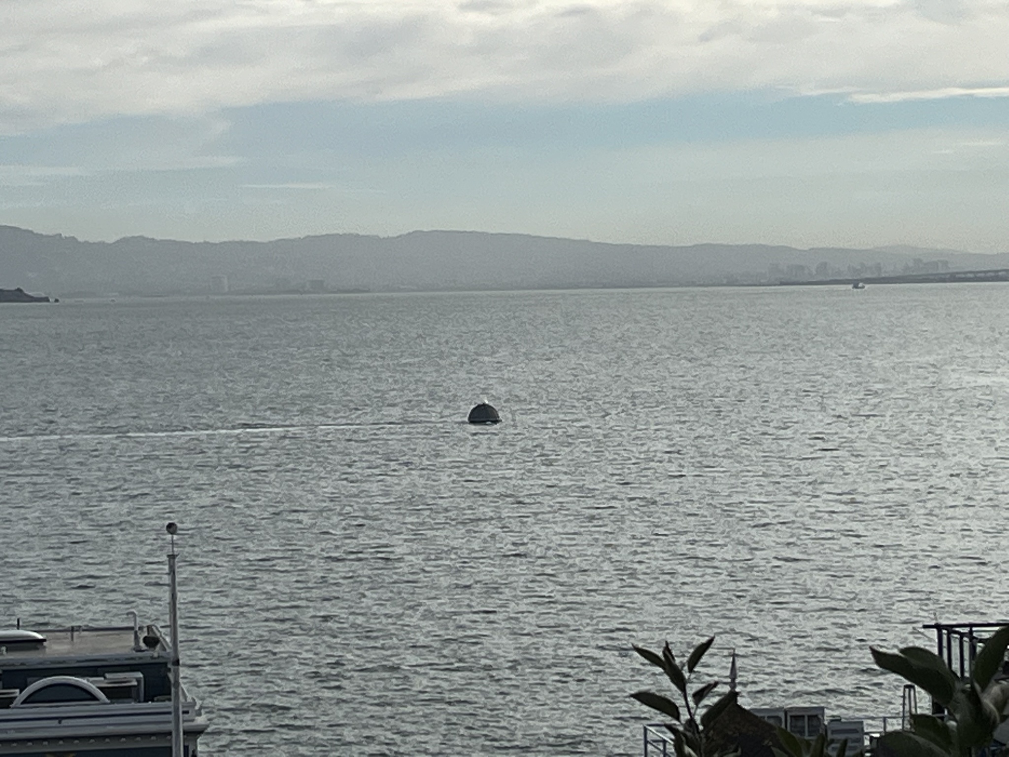 Check out this dome-shaped boat cruising in San Francisco Bay!