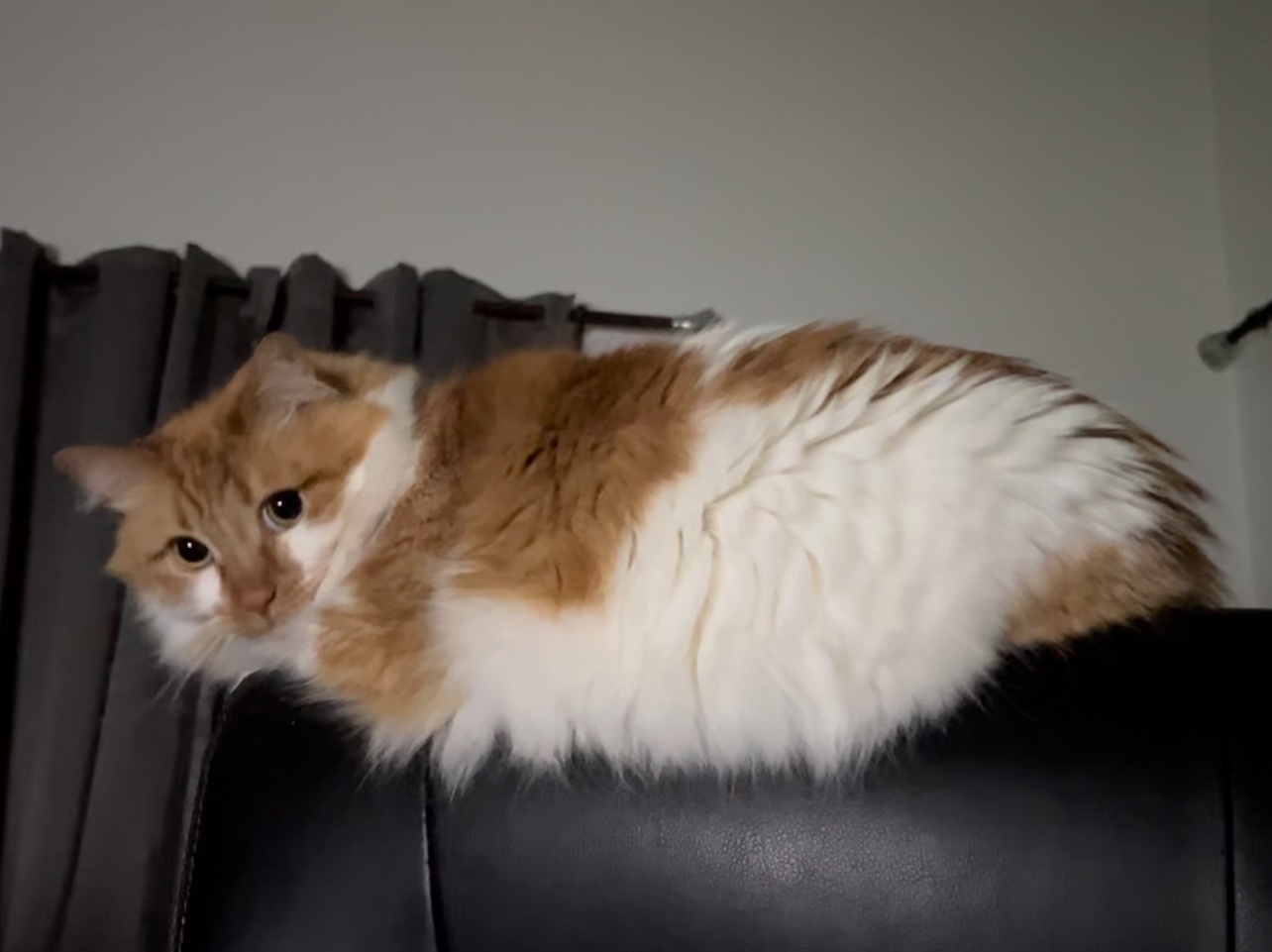 This Guy Resembles a Slug in the Most Hilarious Way