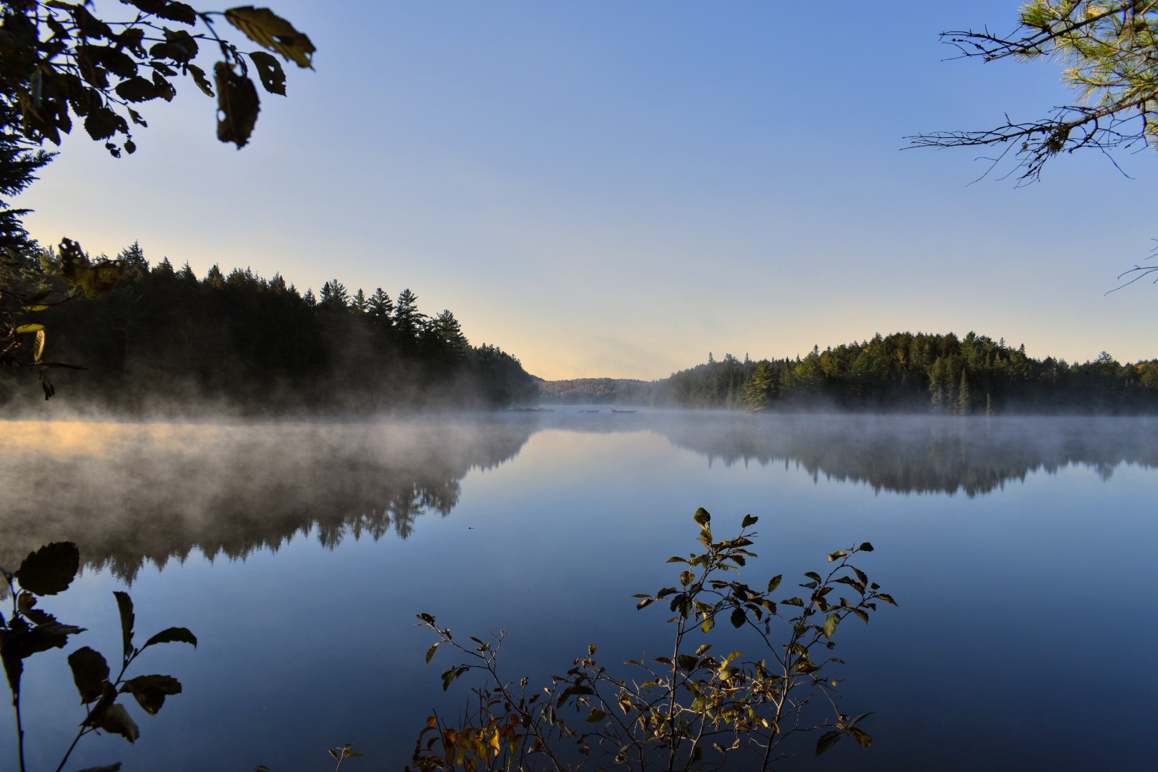 Adventuring Through Track and Tower Trail in Algonquin Park