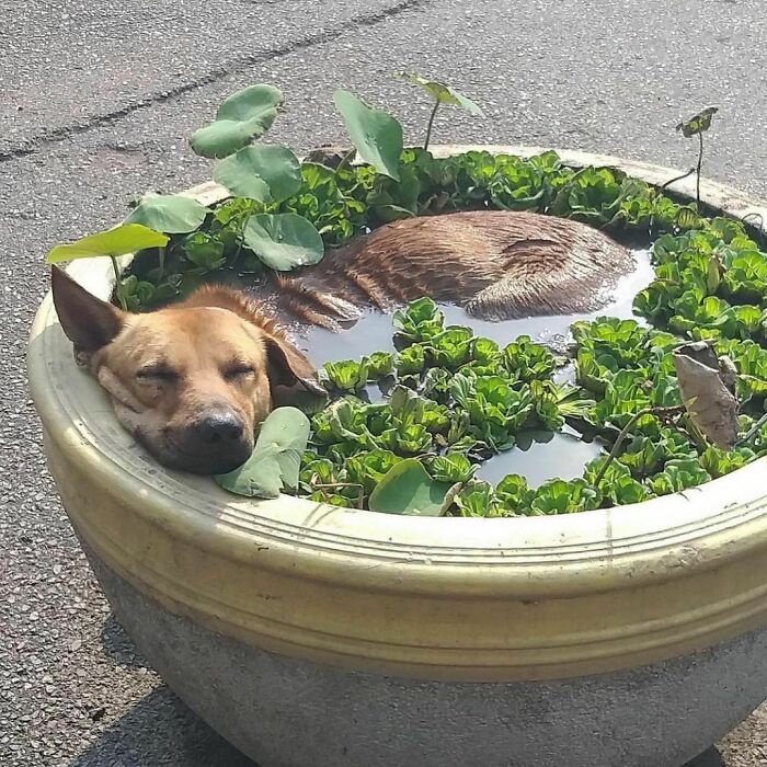 Just Relaxing and Taking it Easy