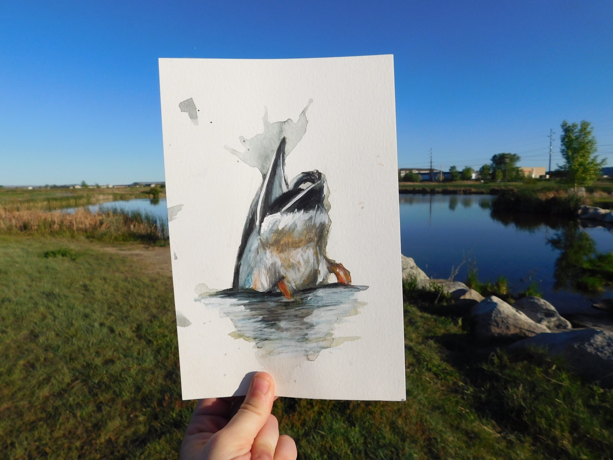 Creative Art Inspired by My Nature Walks