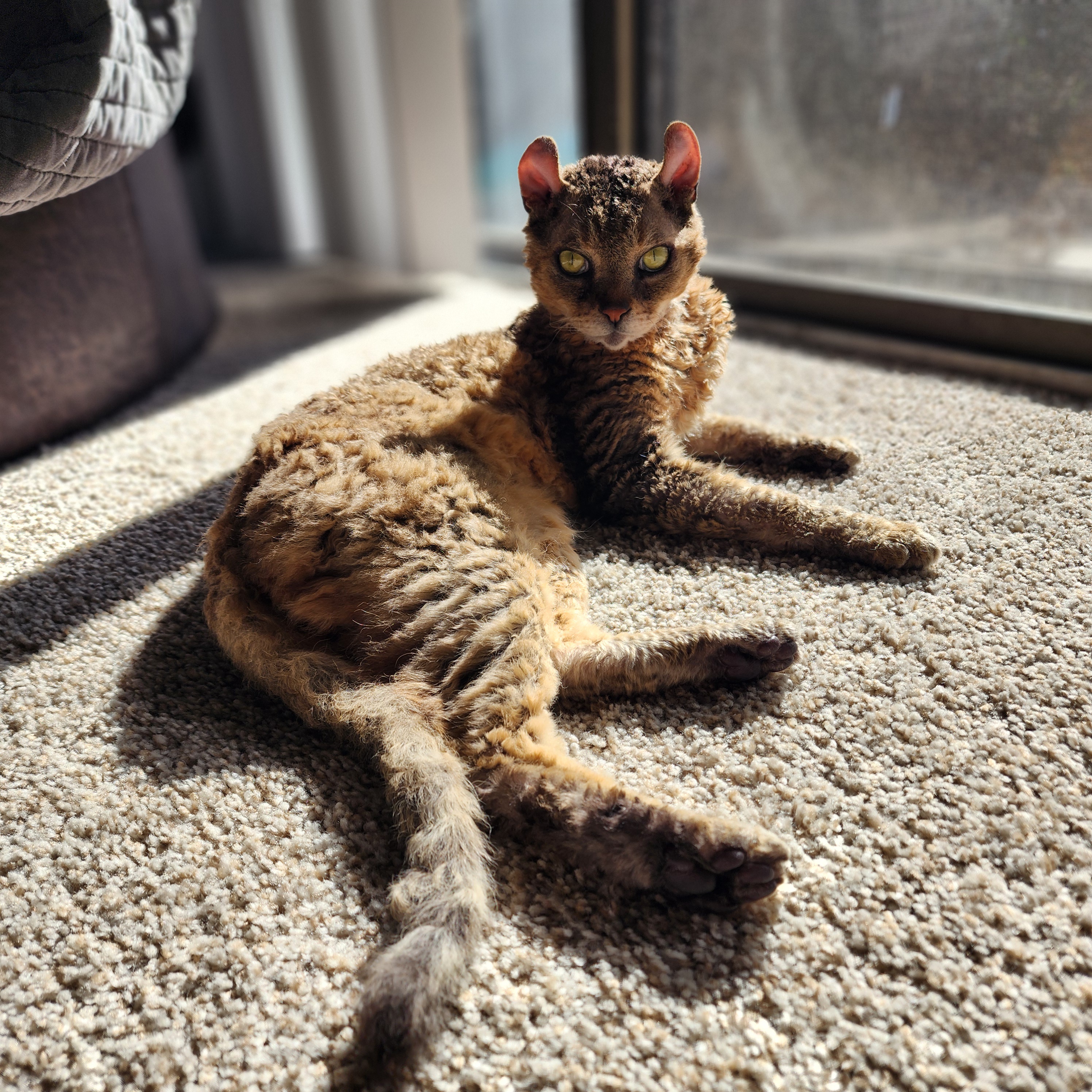 He Knows He's Gorgeous and He's Not Afraid to Show It