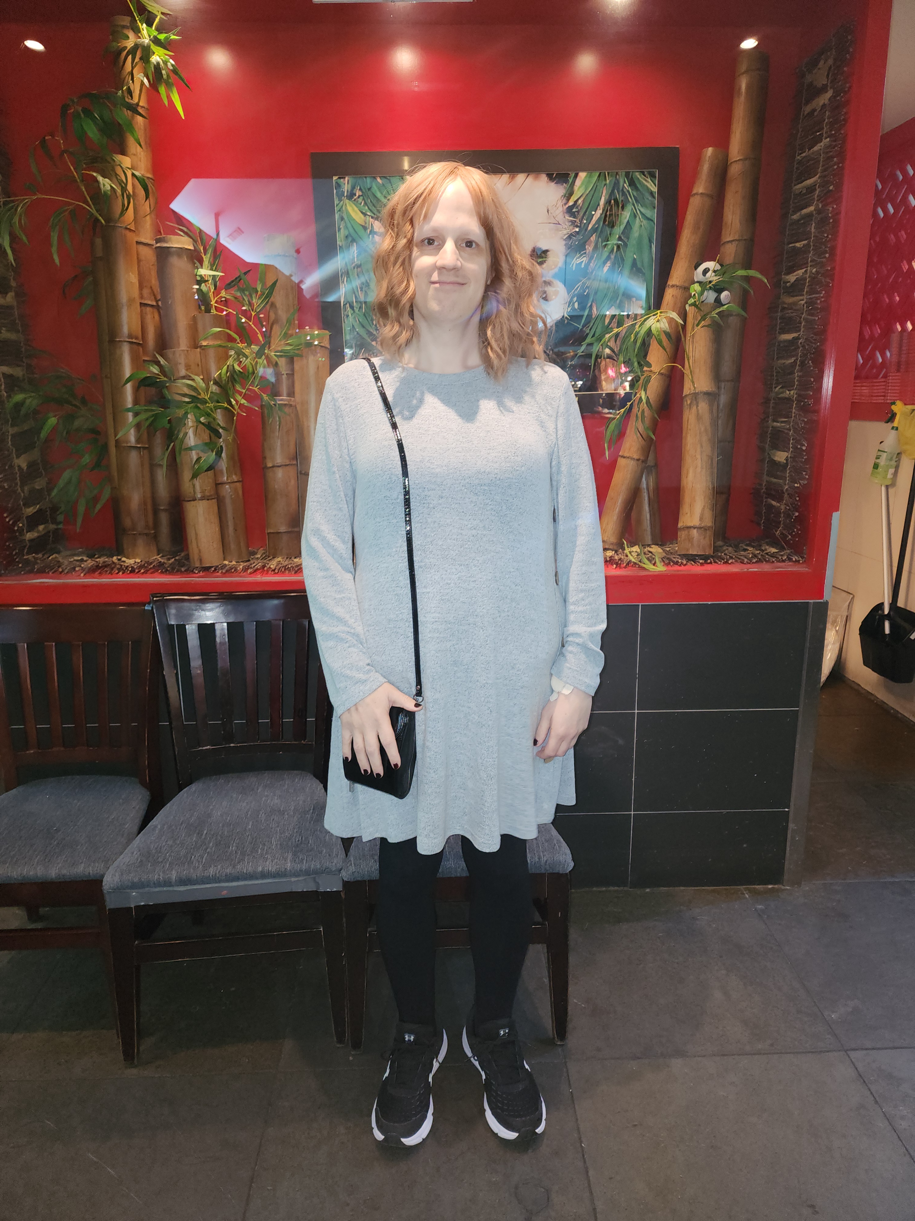 You know what? Forget it! Merry Christmas, everyone! Here's my first outing in a dress and wig!