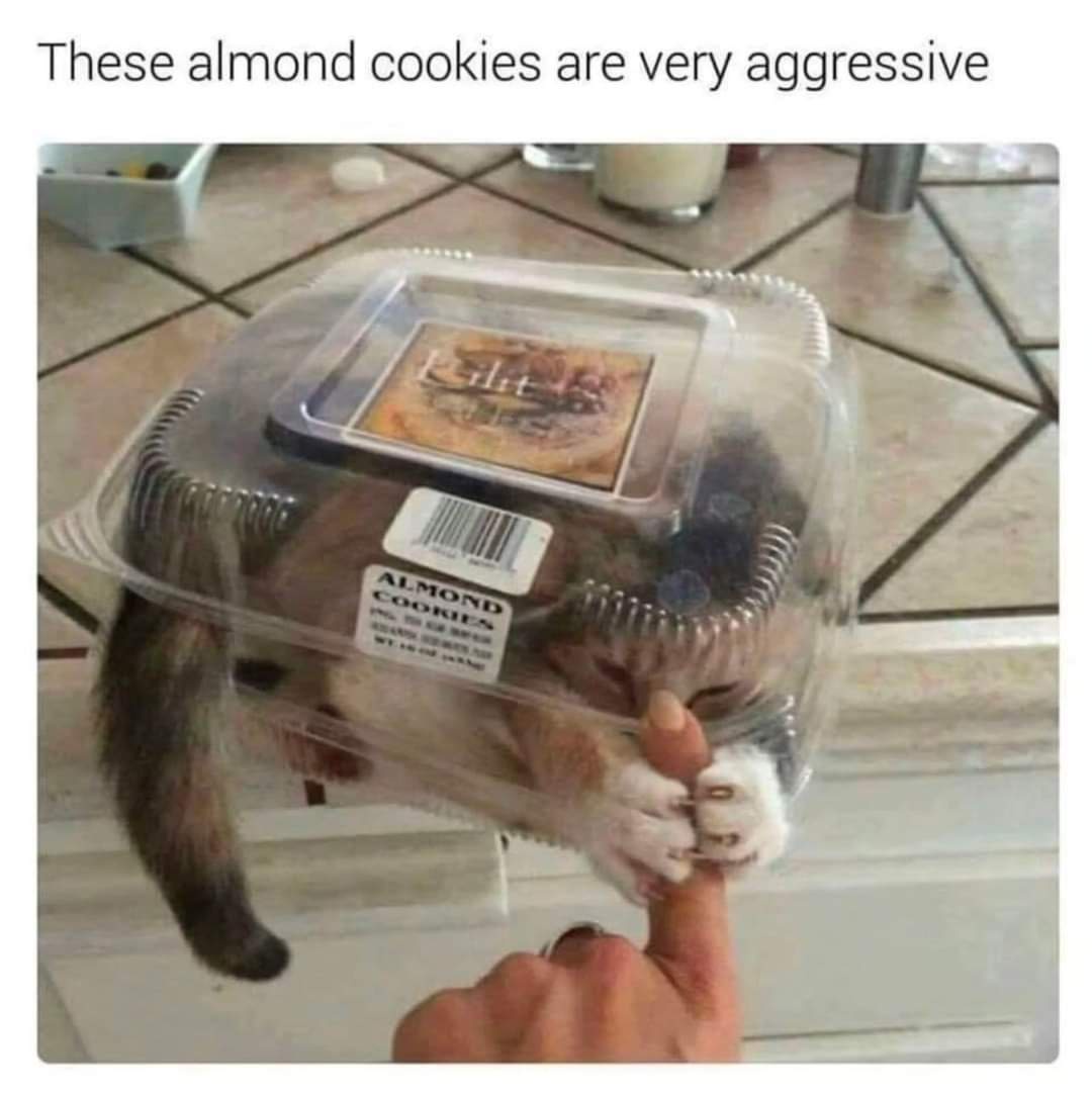 Cookies with a Side of Anger