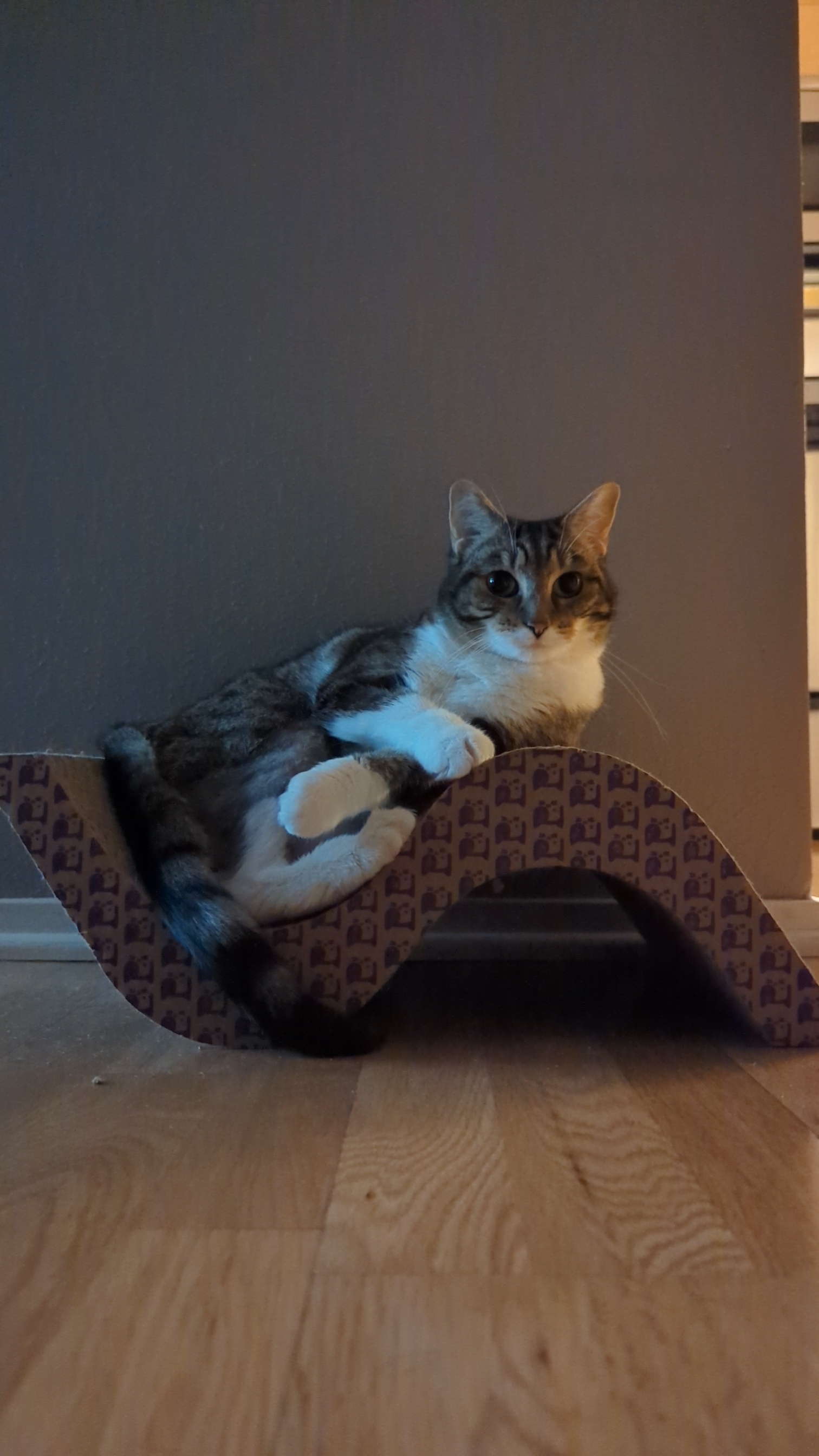 A Classic Phoebe Post: Just for You!