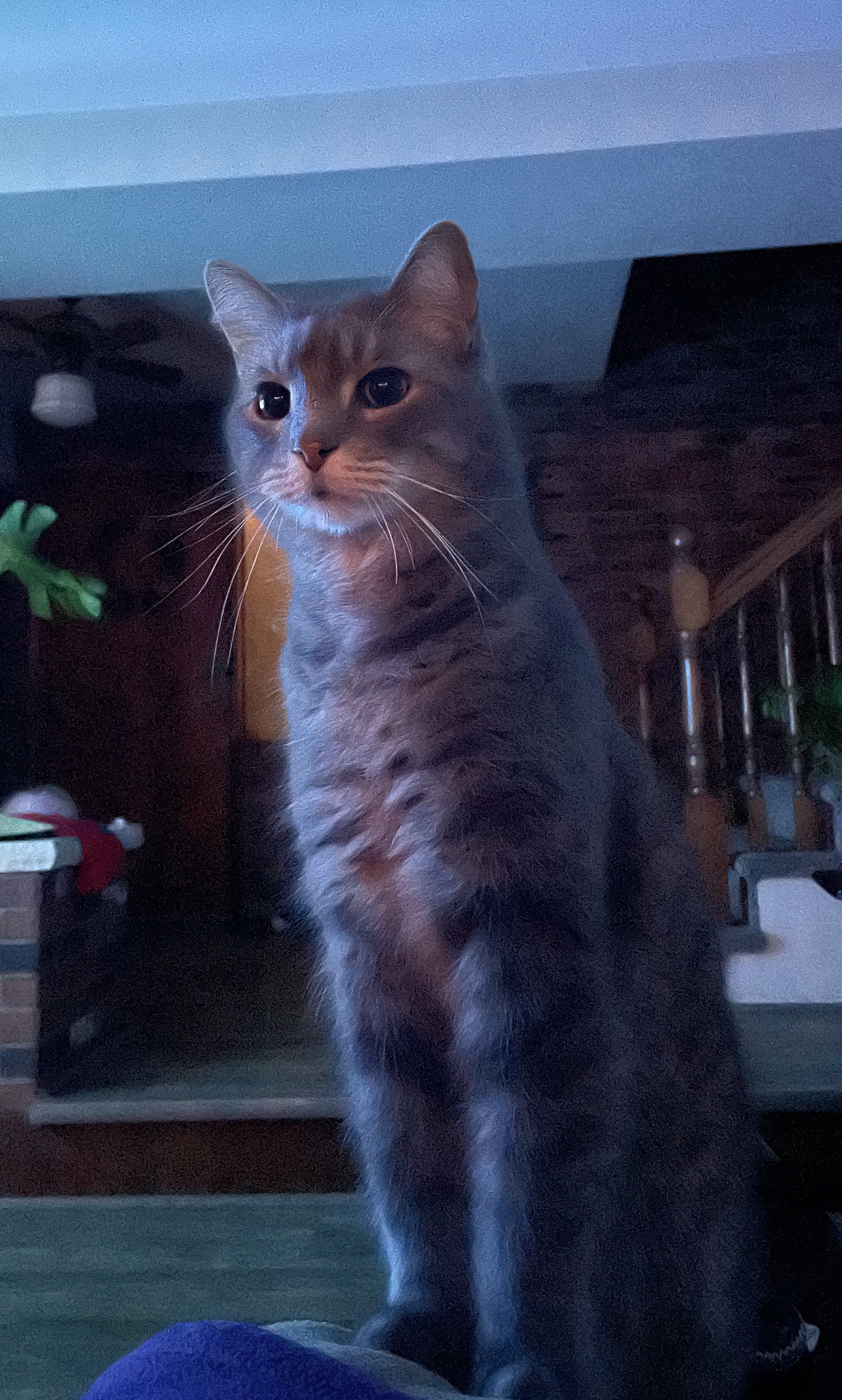 I proudly wear the crown of my own kingdom.