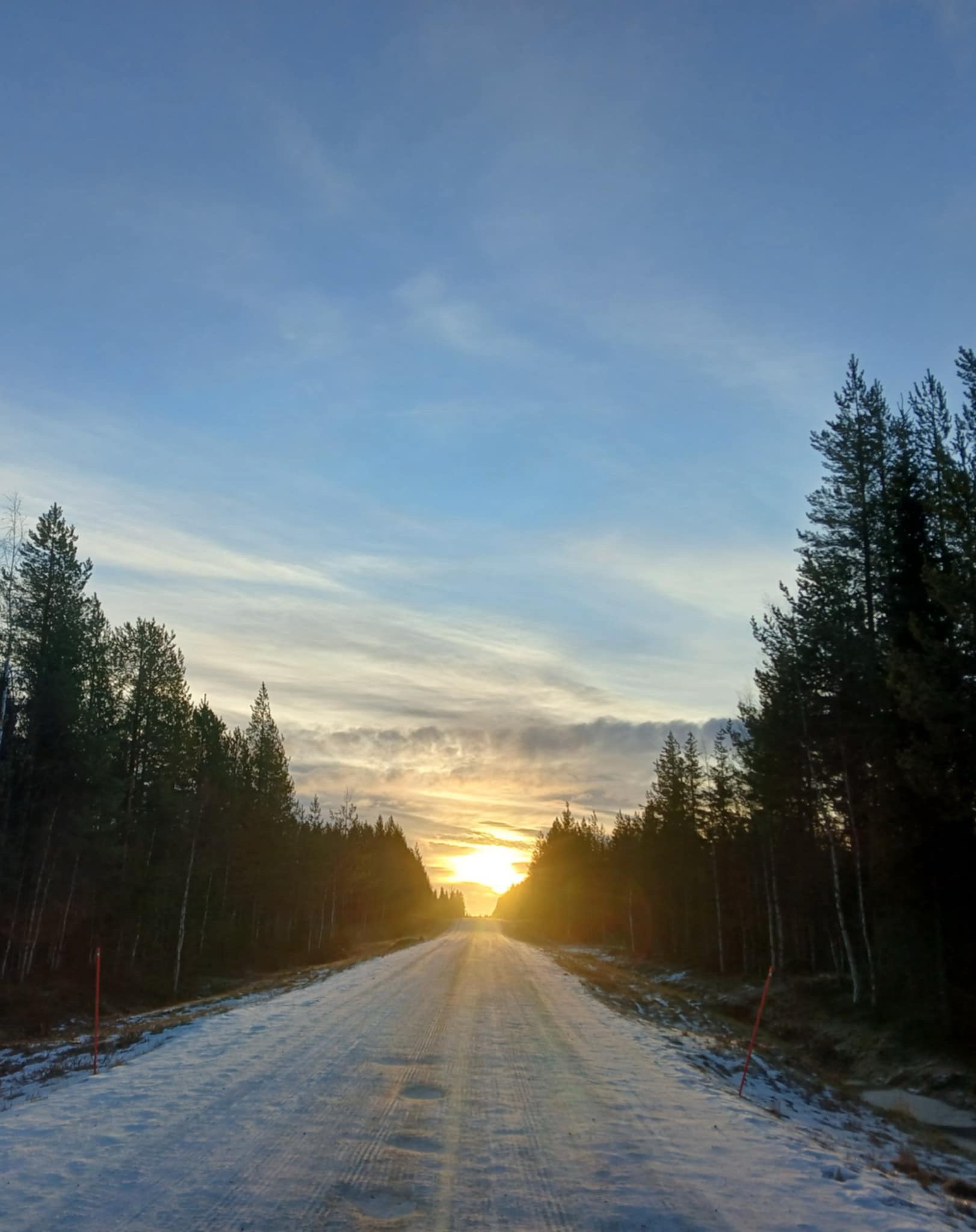 Finland's Enchanting Landscape in Late Autumn