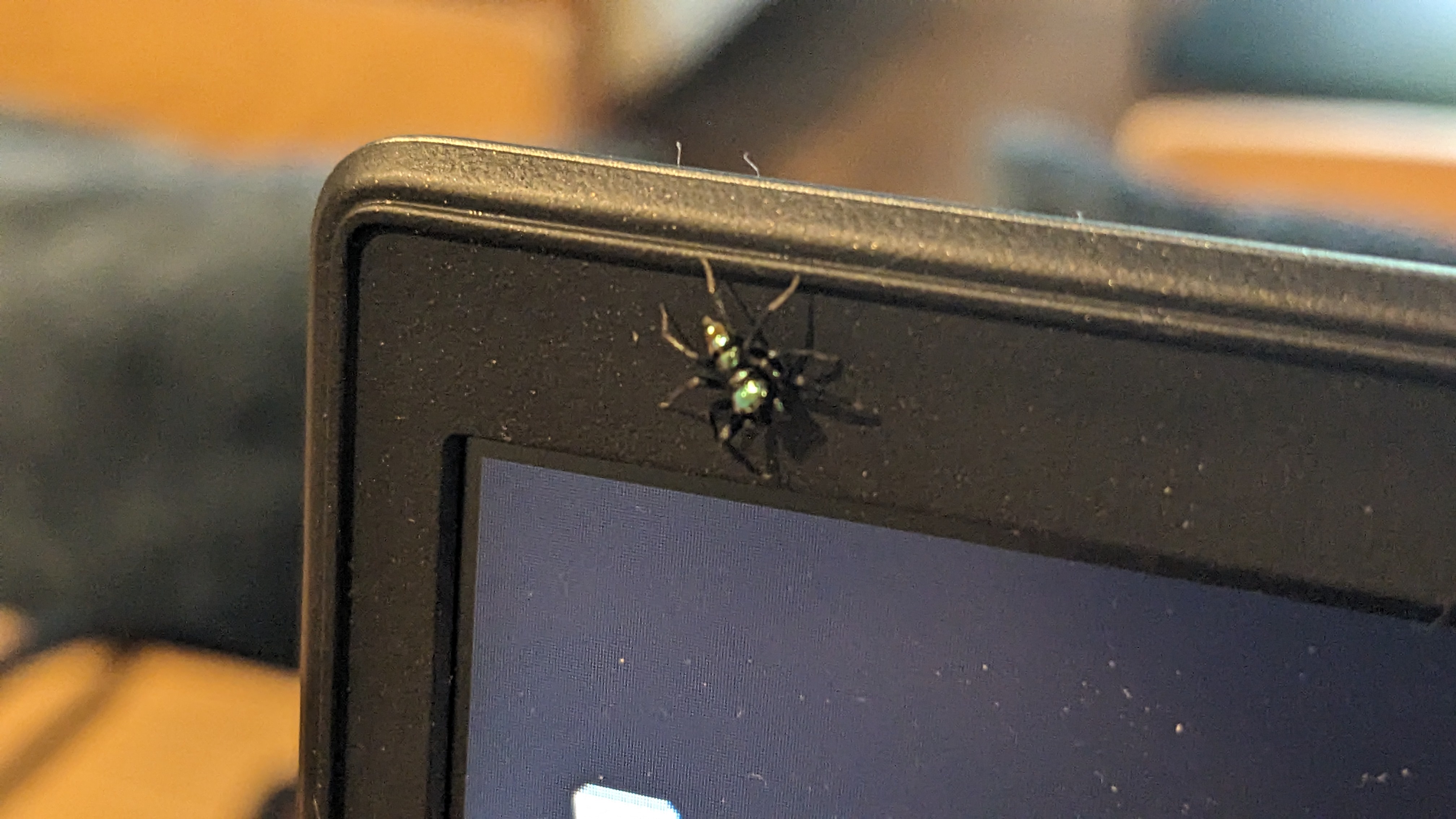 The cheerful office buddy we all need