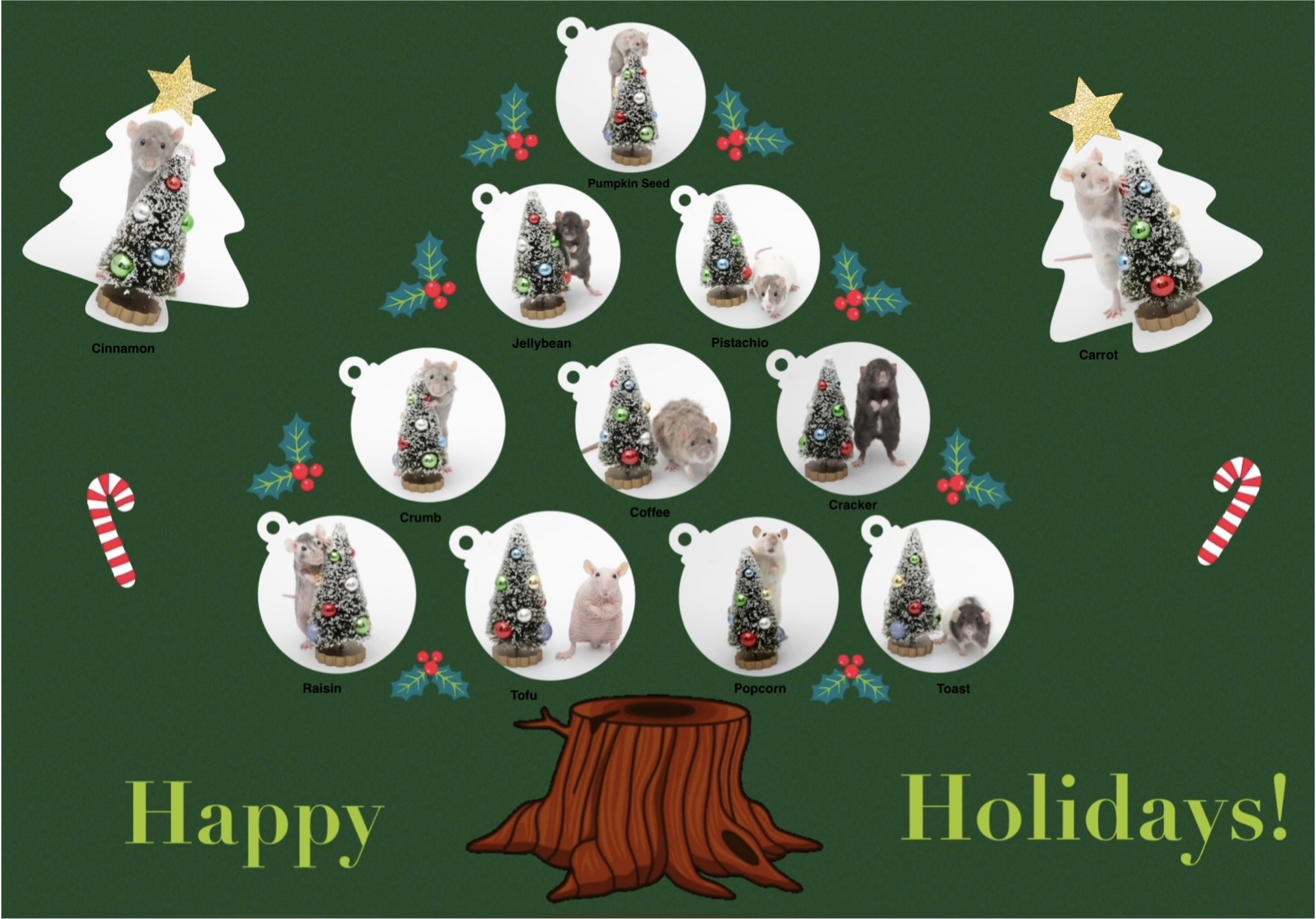 Wishing You Happy Holidays from Our Rat Family!