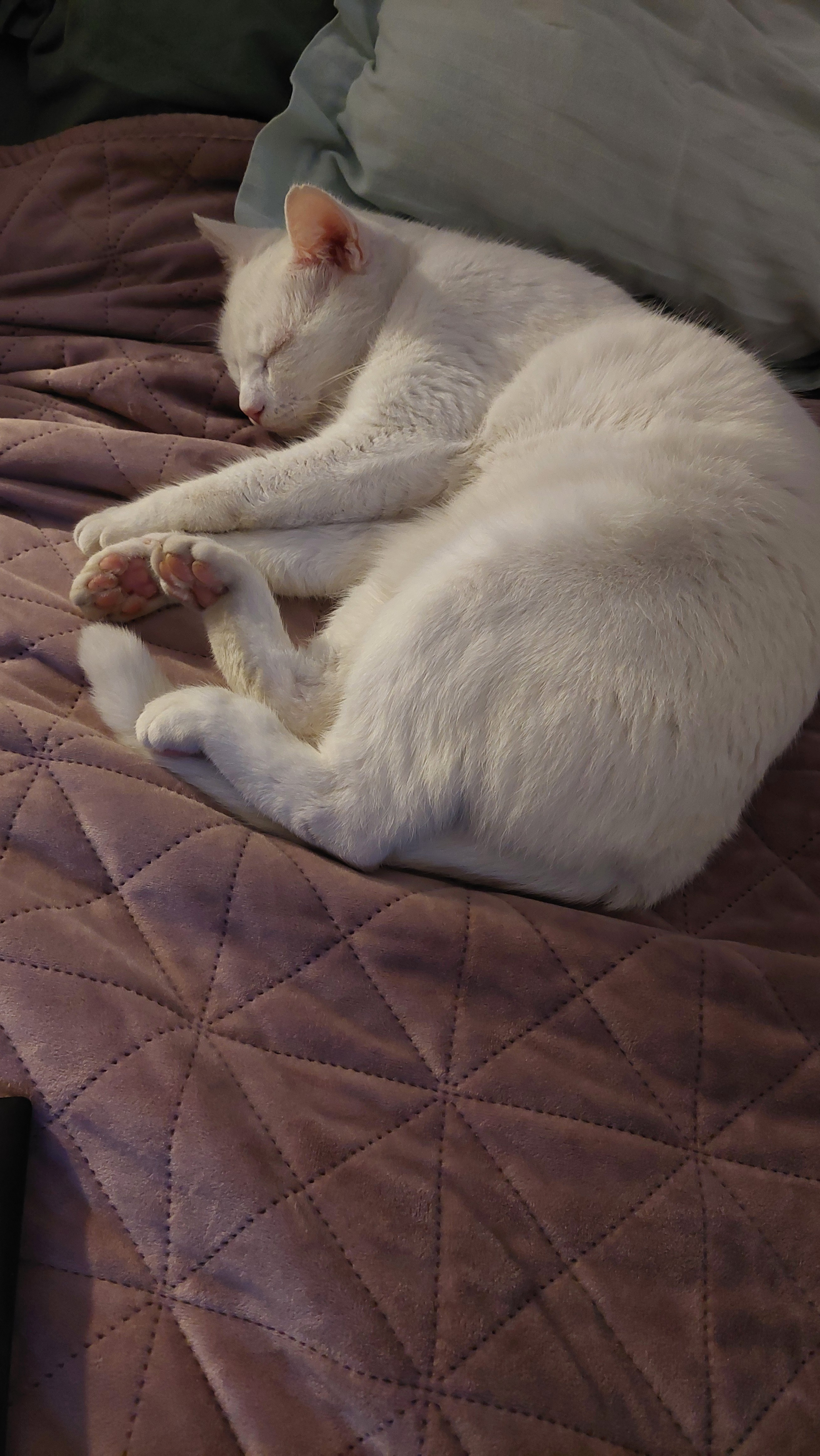This Spot is Taken: Find Your Own Place to Sleep