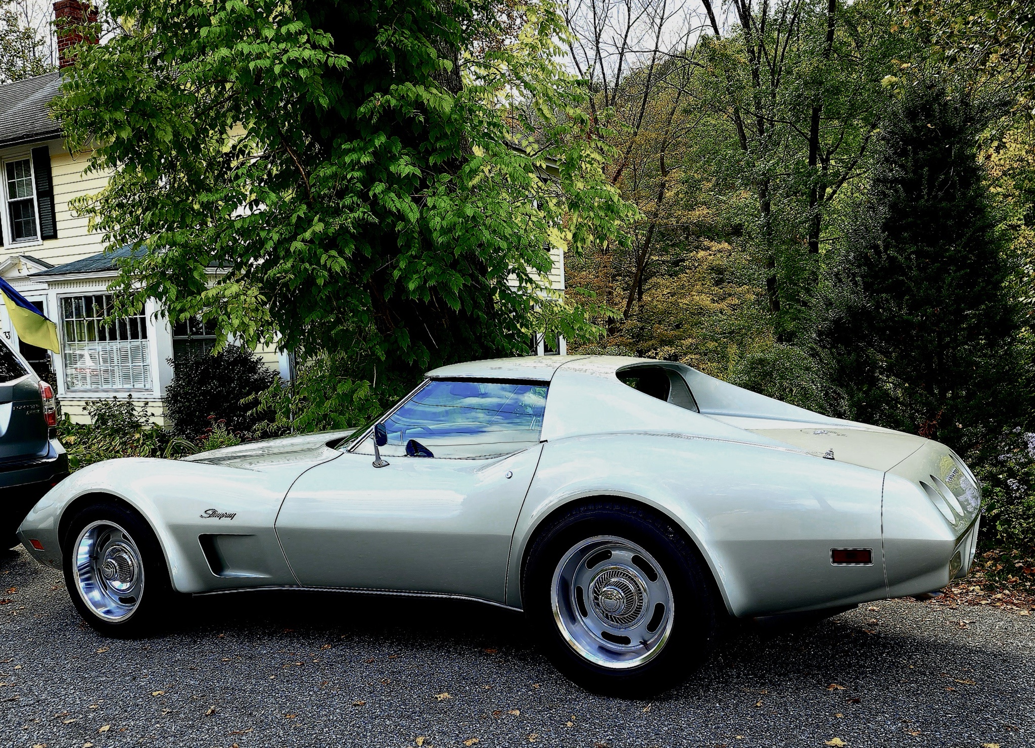 Spot the 17 Rallye lookalikes on a classic 77 Corvette