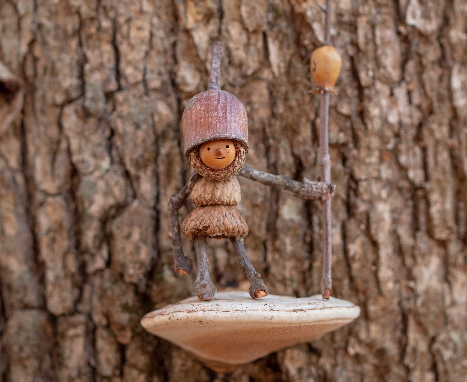 United We Stand as the Acorn People