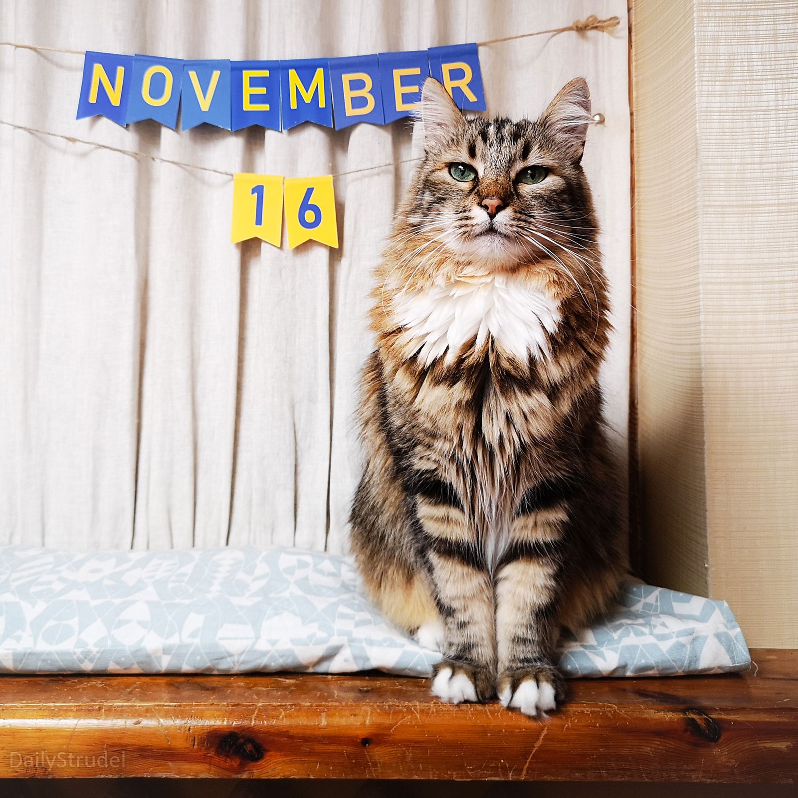Mark Your Calendars: November 16 Highlights